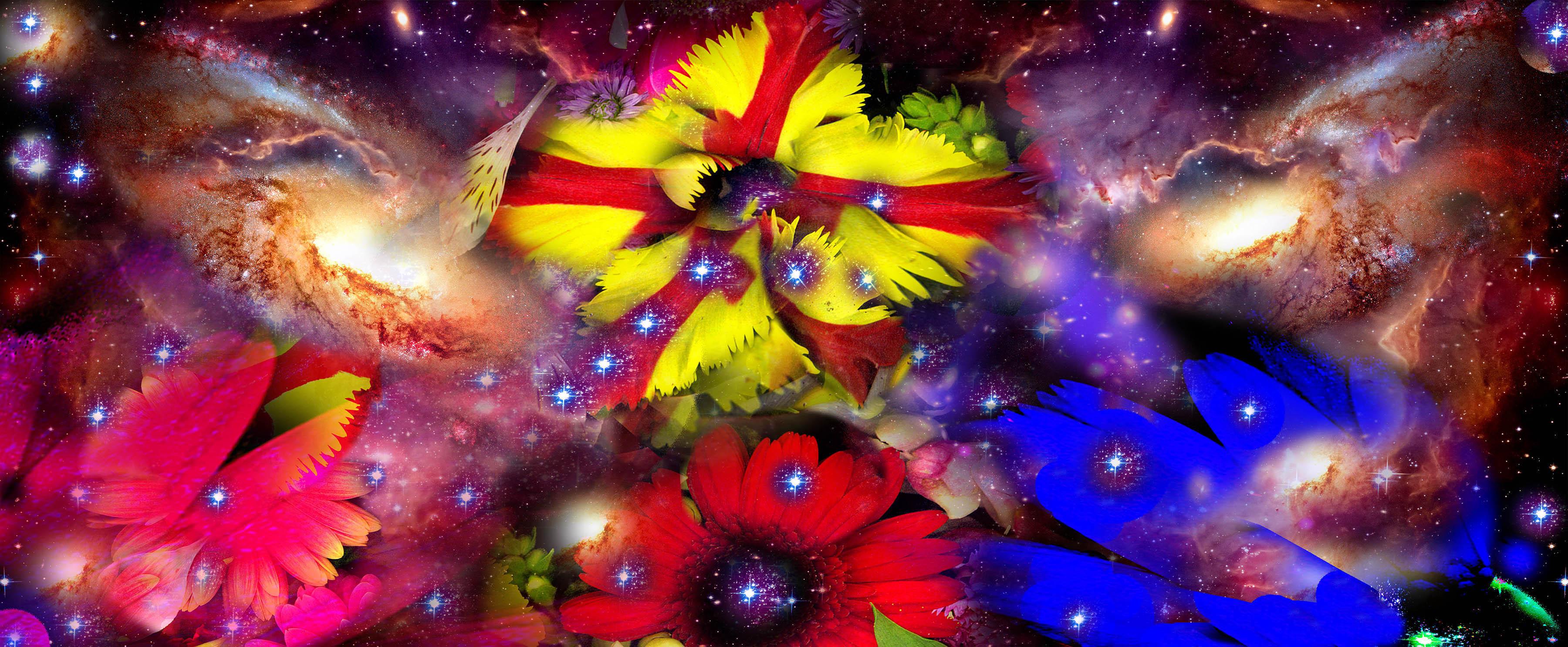 Gardens & Galaxies: Trio 24"x42" bright colors, abstract interpretation   nature - Art by Susan Kaprov