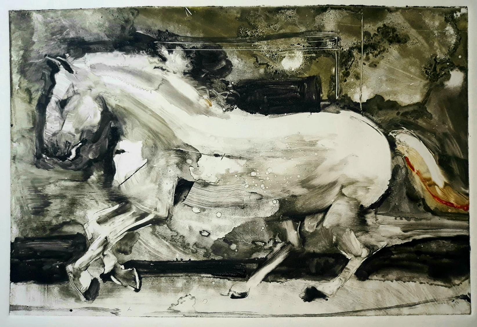 Animal Art Tom Bennett - Lusitano n°1, cheval monochrome noir et blanc, spectaculaire
