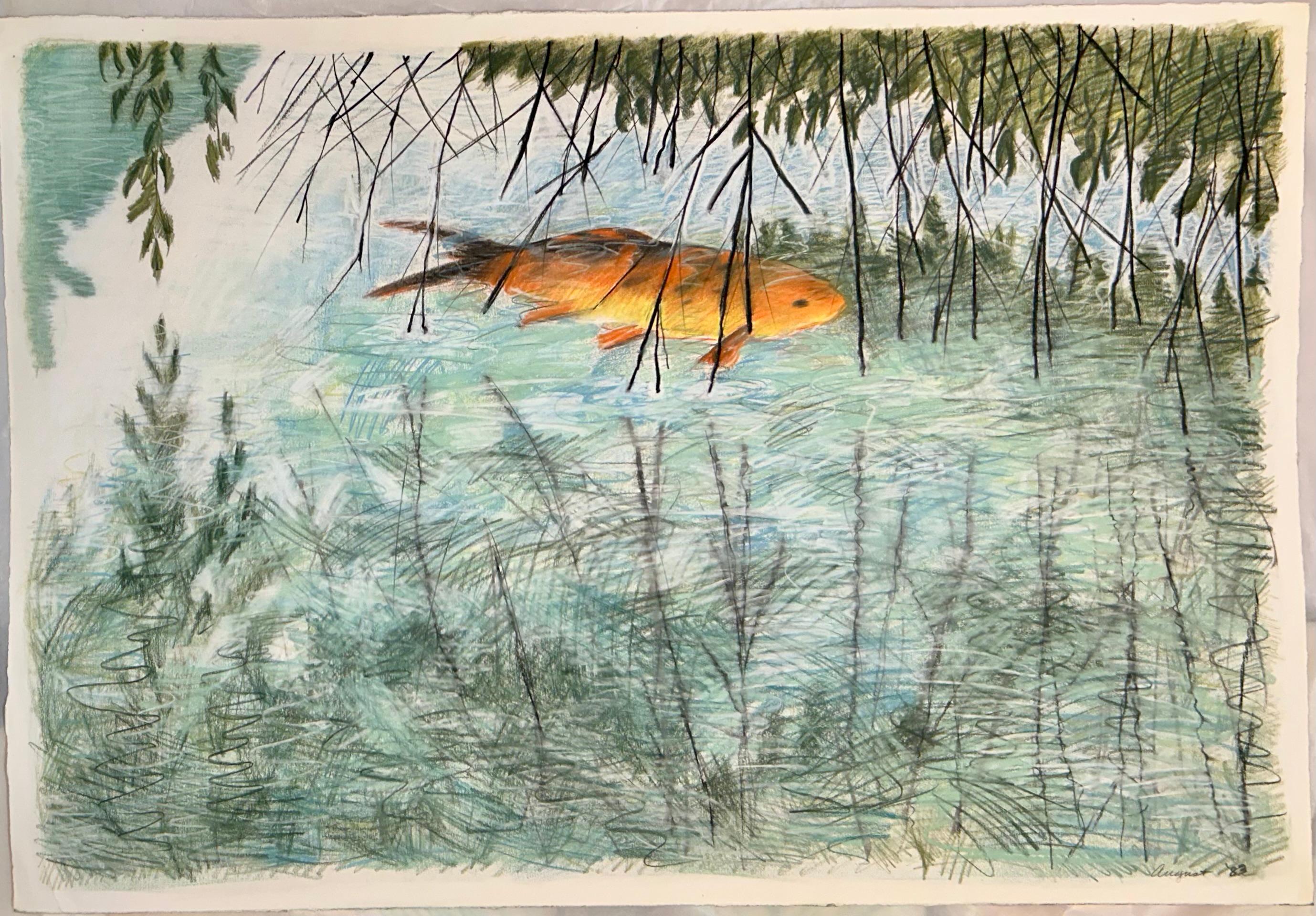 Koi, poisson doré, dessin au pastel, eau, nature, réflexion abstraite
