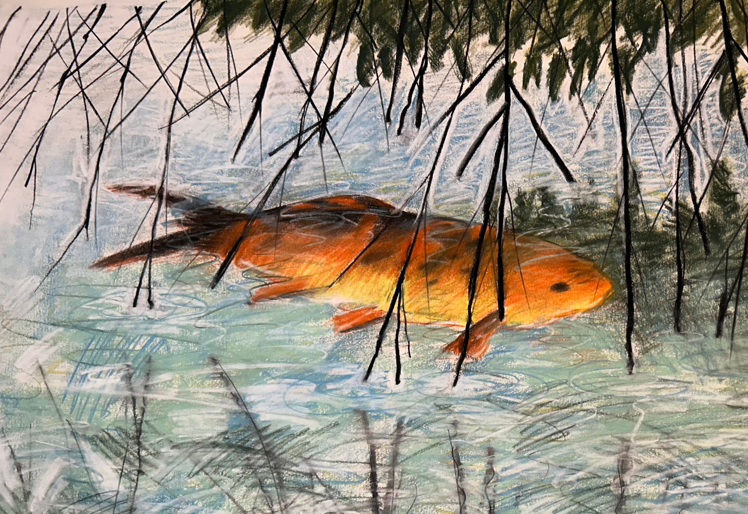 Koi, pesce d'oro, disegno a pastello acqua, Nature, riflessione astratta - Art di Audrey Anastasi