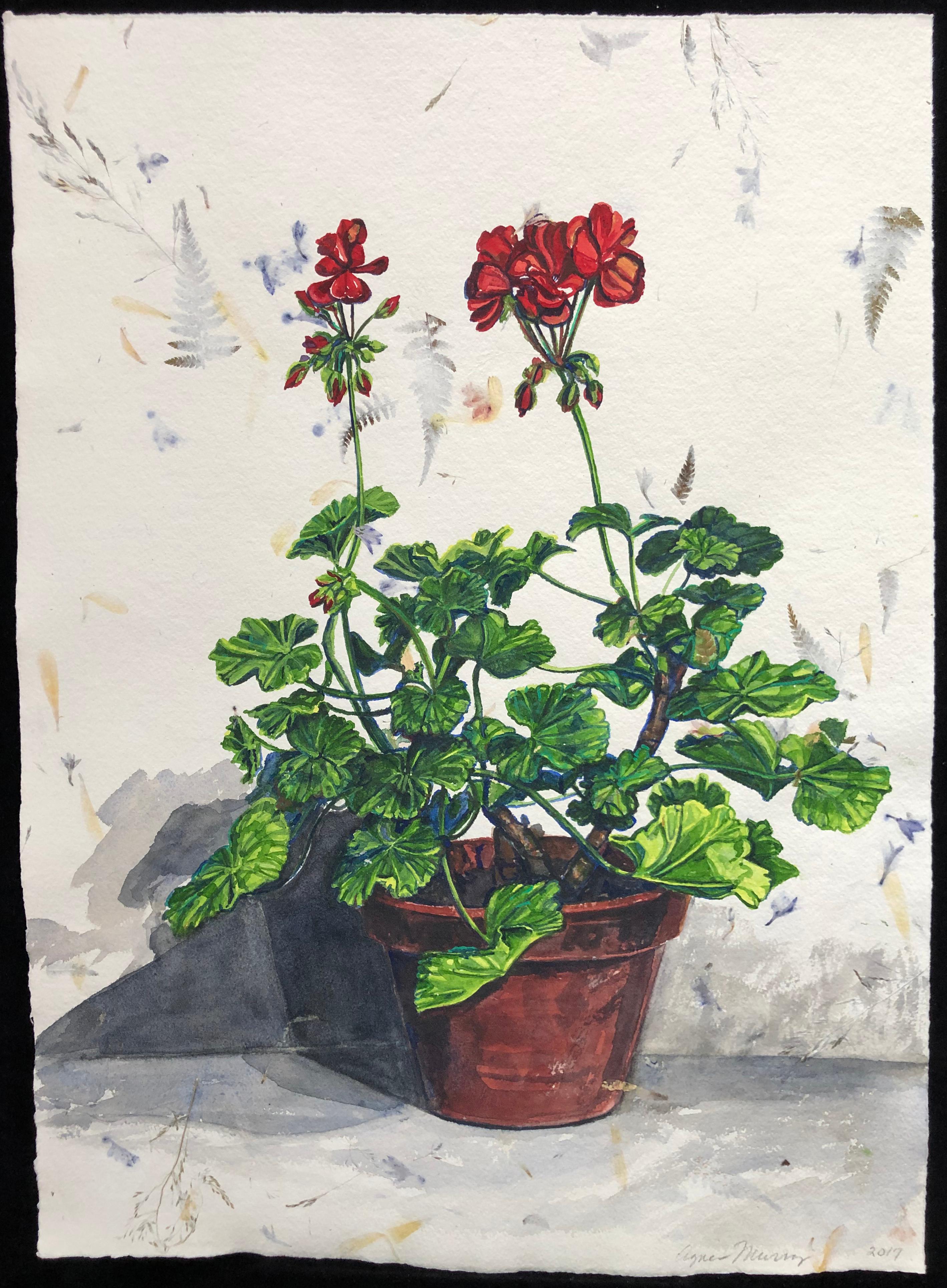 Agnes Murray Still-Life - Pelargonium #3, Floral, Richard de Bas paper, realism, botanical