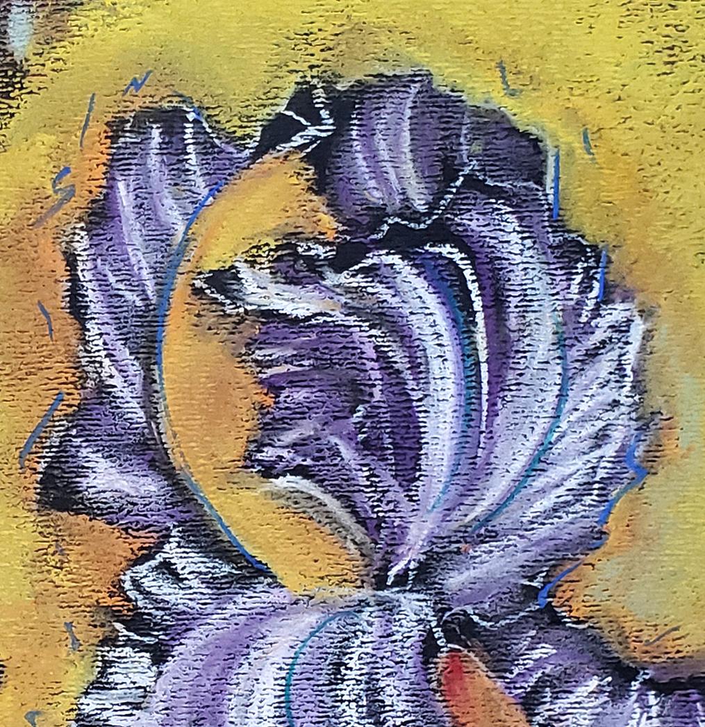 Secret Garden, Iris, farbenfrohes, abstrahiertes Blumenpastell auf dunklem Papier – Art von Janet Morgan