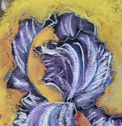 Secret Garden, Iris, colorful abstracted floral pastel on dark paper