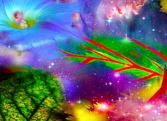 Jardins et Galaxies : Fleur bleue 24"x42" couleurs vives, abstrait, nature