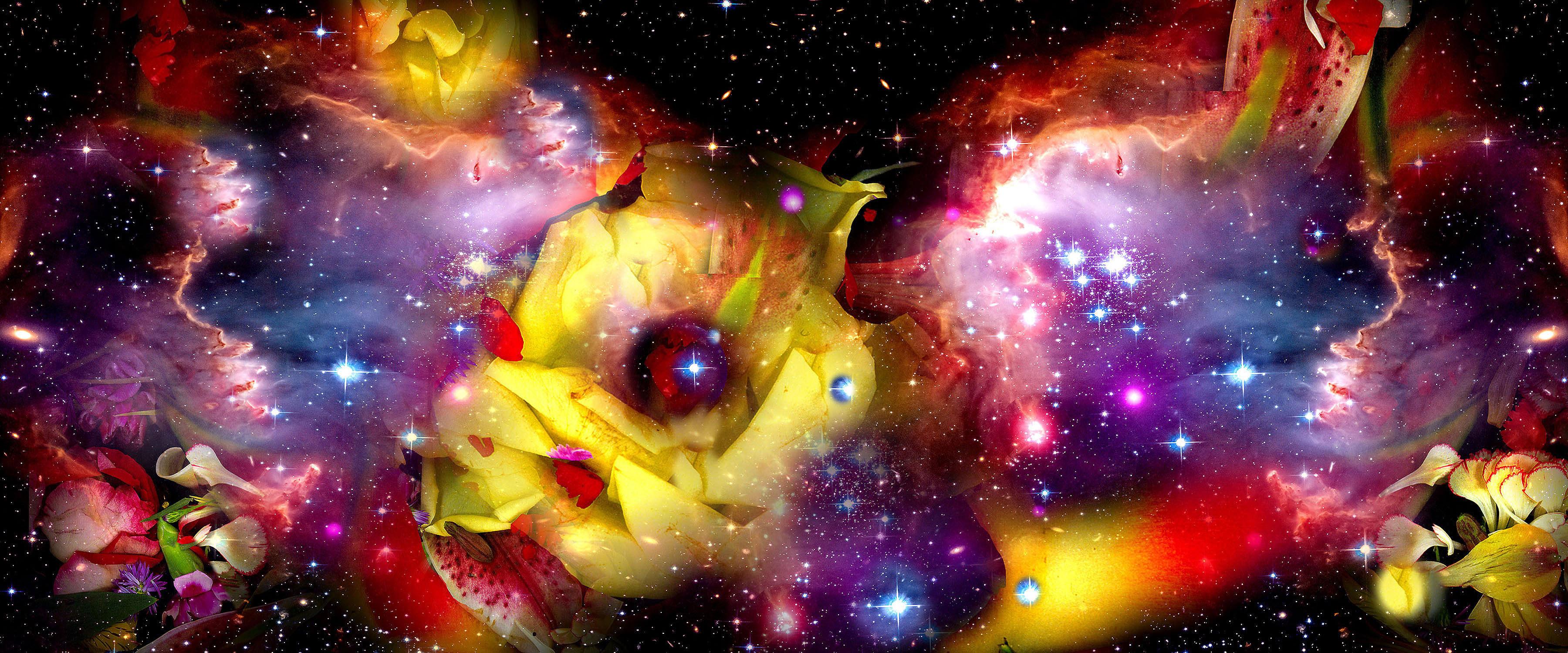 Gardens & Galaxies: Yellow Rose 24"42" bright color abstract sky nature panorama - Mixed Media Art by Susan Kaprov