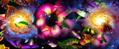 Gardens & Galaxies: Magenta Rose, 24"x42" vivid colors, abstract night sky