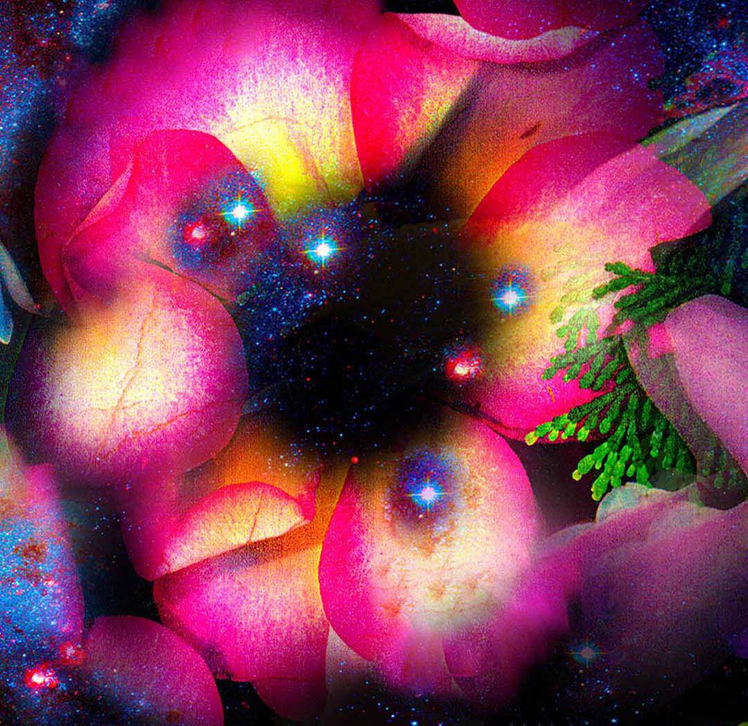 Gardens & Galaxies: Magenta-Rose, 24 Zoll x 42 Zoll in leuchtenden Farben, abstrakter Nachthimmel (Medienkunst), Mixed Media Art, von Susan Kaprov