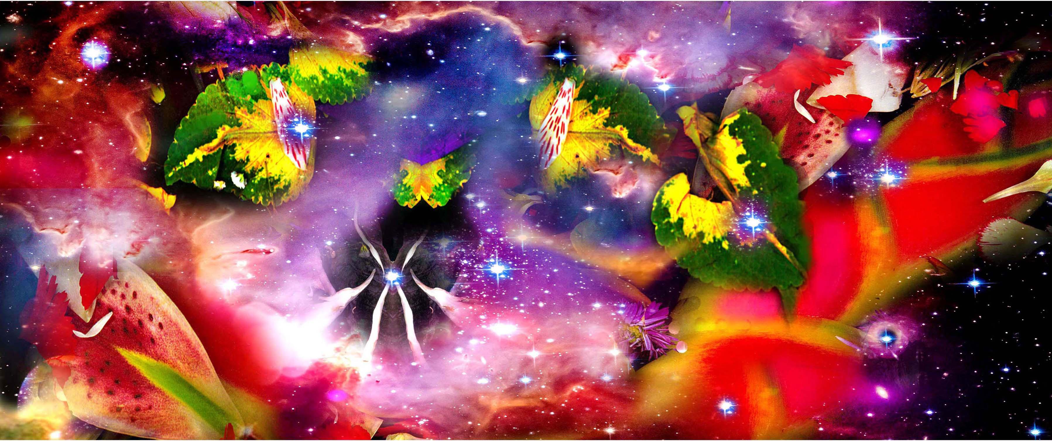 Gardens &amp;amp; Galaxies: HELICONIAS 24 Zoll x 42 Zoll lebhafte Farben, abstrakte Blumen, Nachthimmel