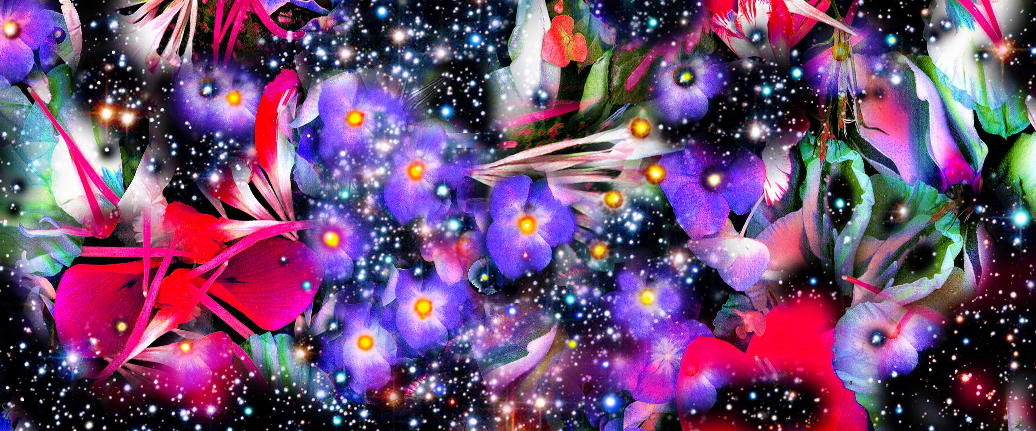 Jardins et Galaxies Fleurs violettes Motifs de ciel nocturne abstraits et colorés 24 po. x 42 po. 