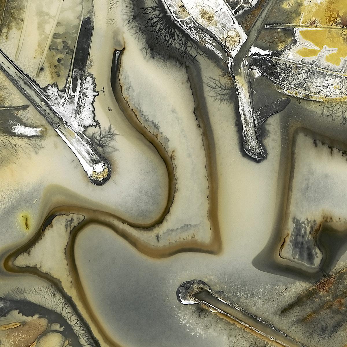 Color Photograph de Edward Bateman - Hoja nº 7C2