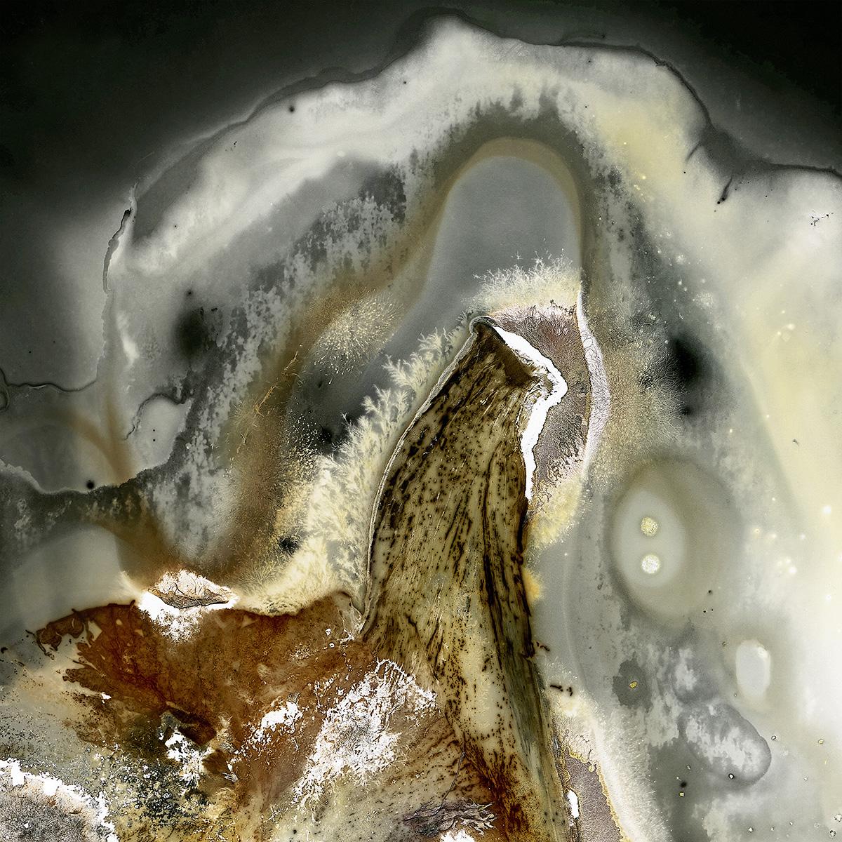 Abstract Photograph de Edward Bateman - Hoja nº 25