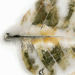 Leaf No. 39C2