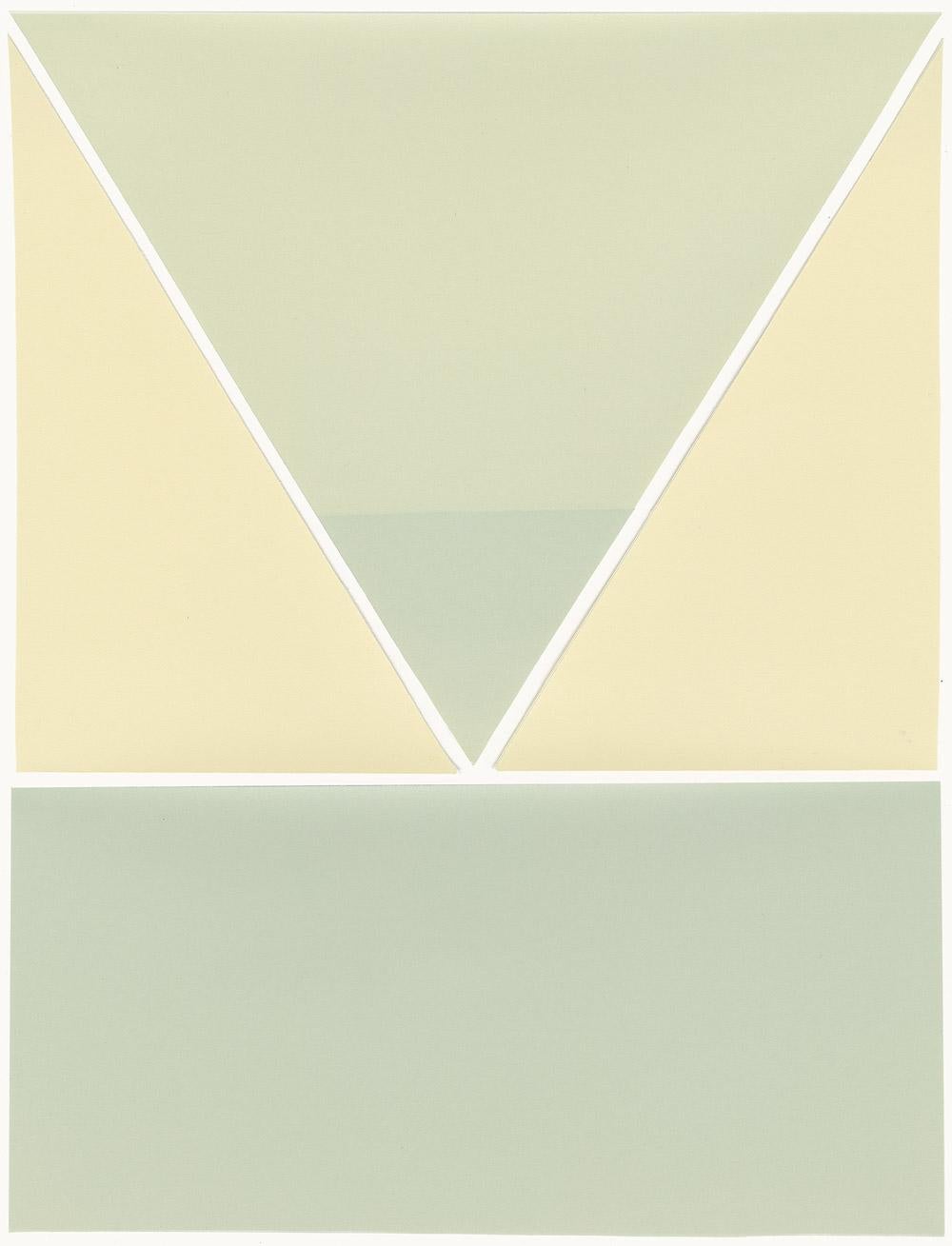 Abstract Photograph de Amanda Marchand - Sanícula Pie de Oso (Luminos Flexicon, VC Priemiere)