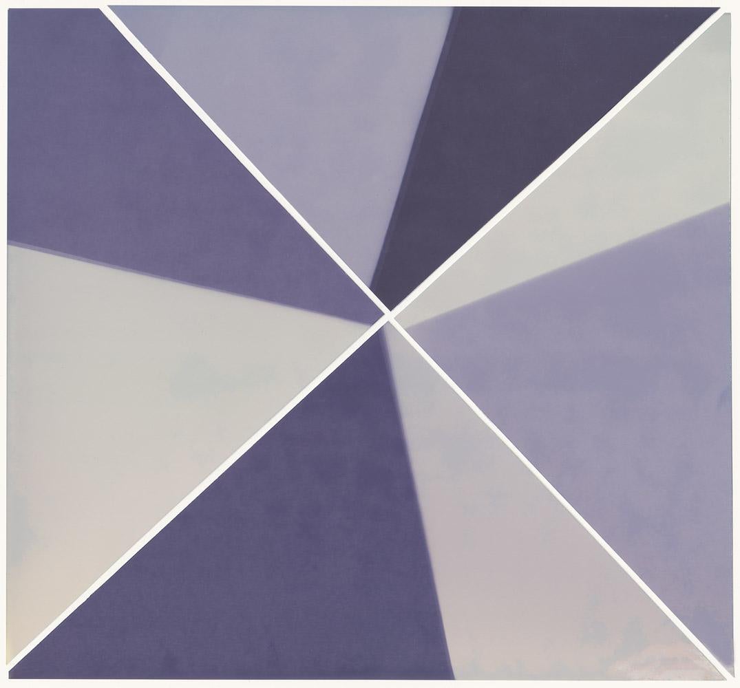 Amanda Marchand Abstract Photograph -  Purple Coneflower (Kodak Supra Endura gloss) 