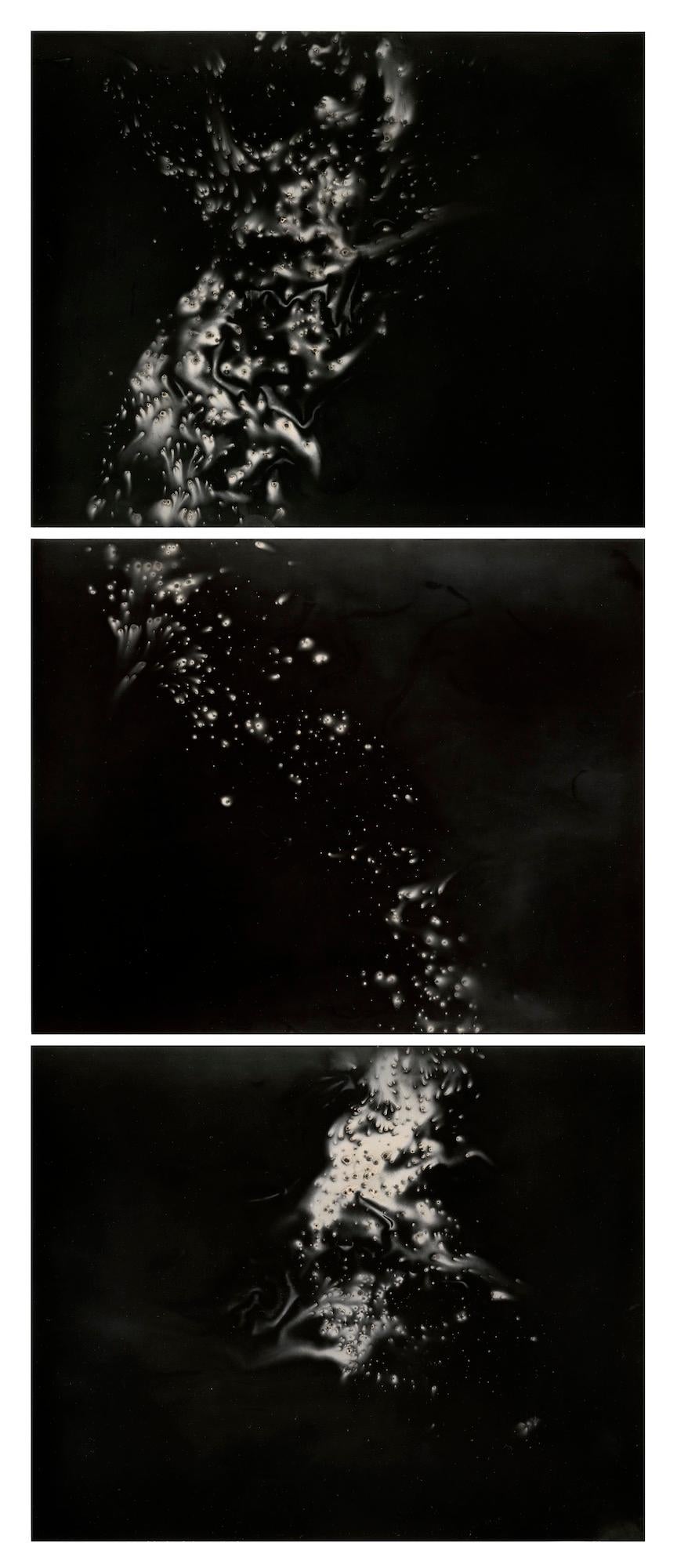 Christopher Colville Abstract Photograph - Untitled Work of Fire (Hydra Triptych)