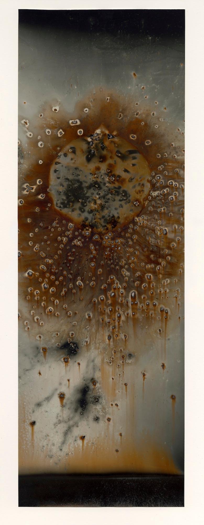 Christopher Colville Abstract Photograph – Variant 2 "Flügel"