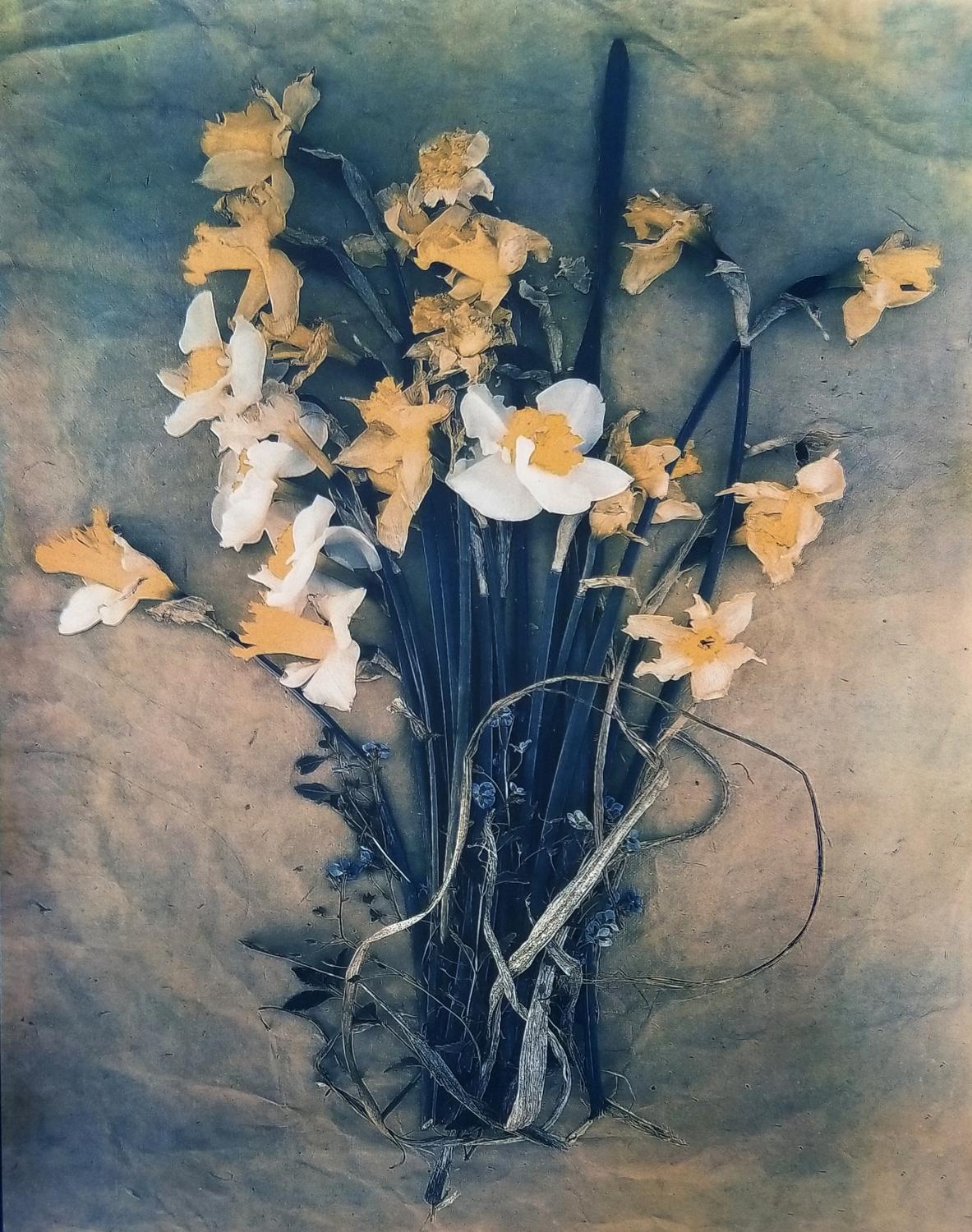 Diana Bloomfield Still-Life Photograph - Daffodils & Forget-me-Nots