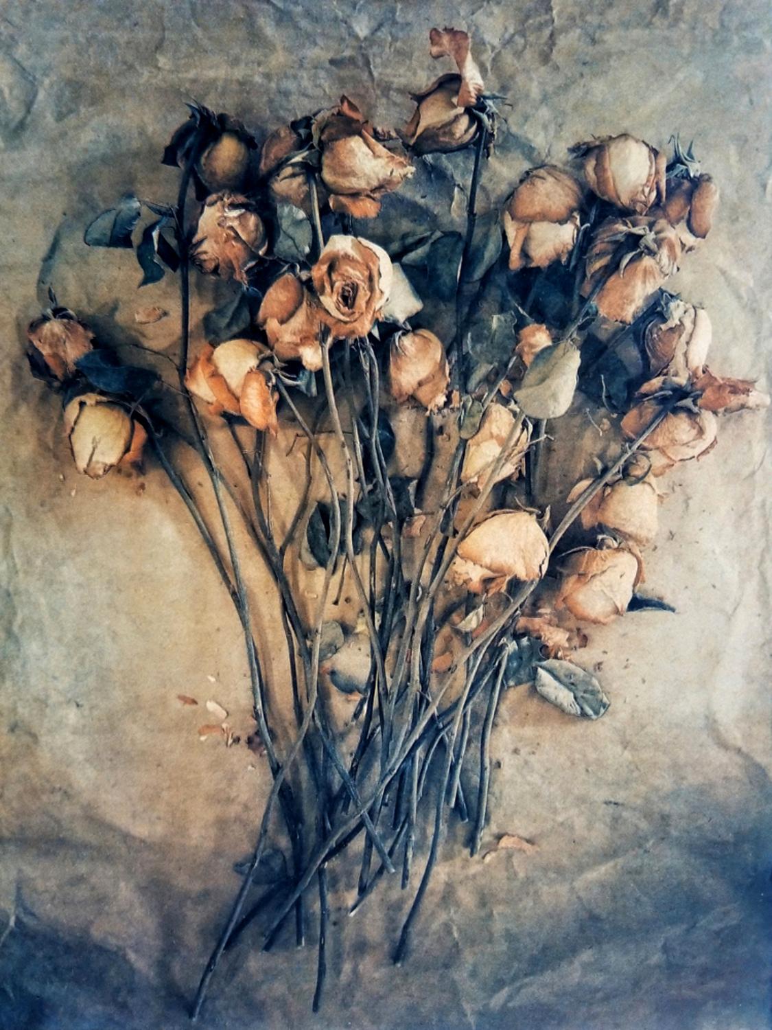 Diana Bloomfield Still-Life Photograph - Spent Roses 