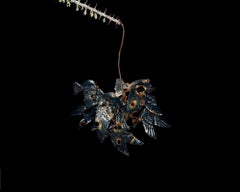 Palomas colgantes
