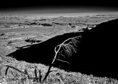 Windblown