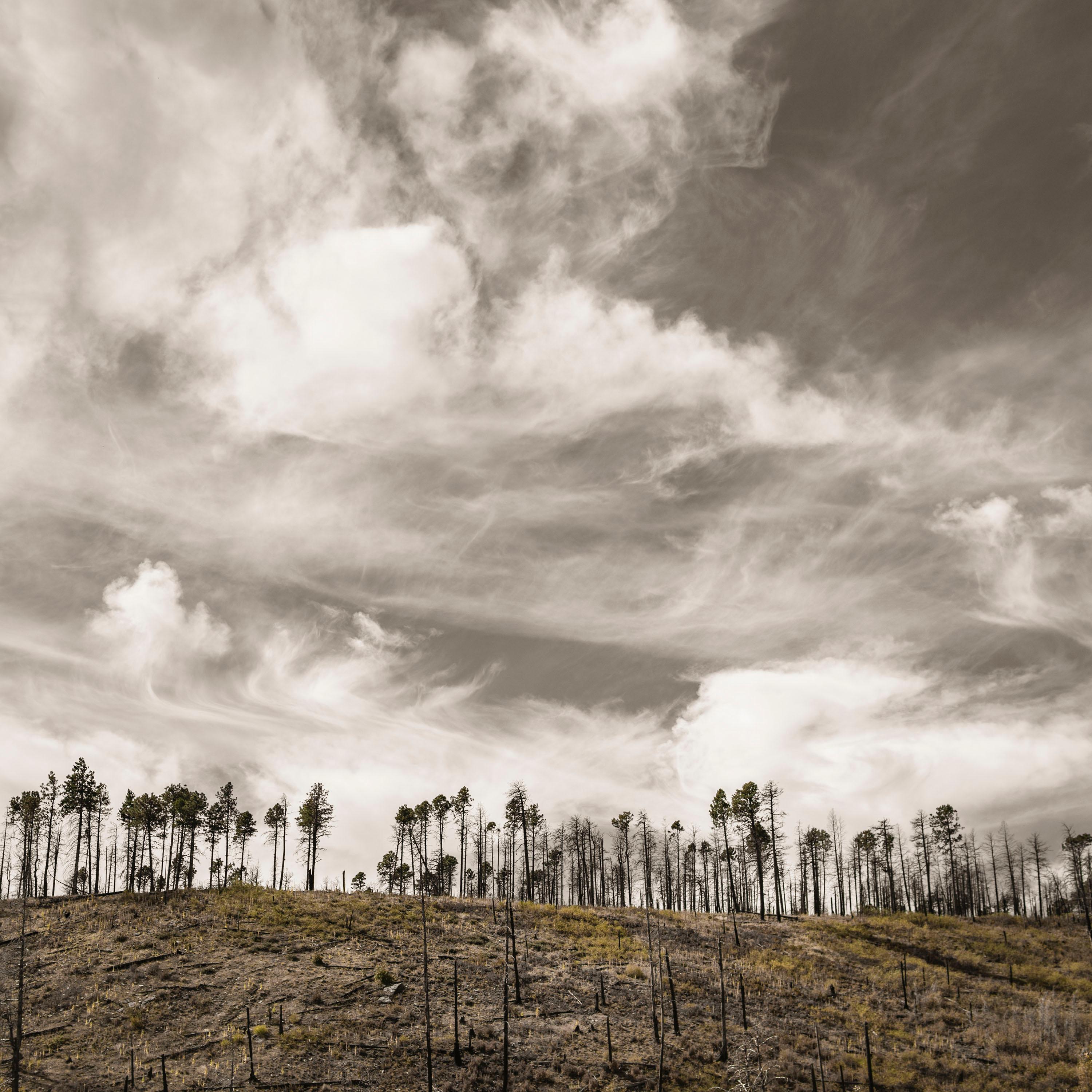 Landscape Photograph Patricia Galagan - Bandelier Skyline 