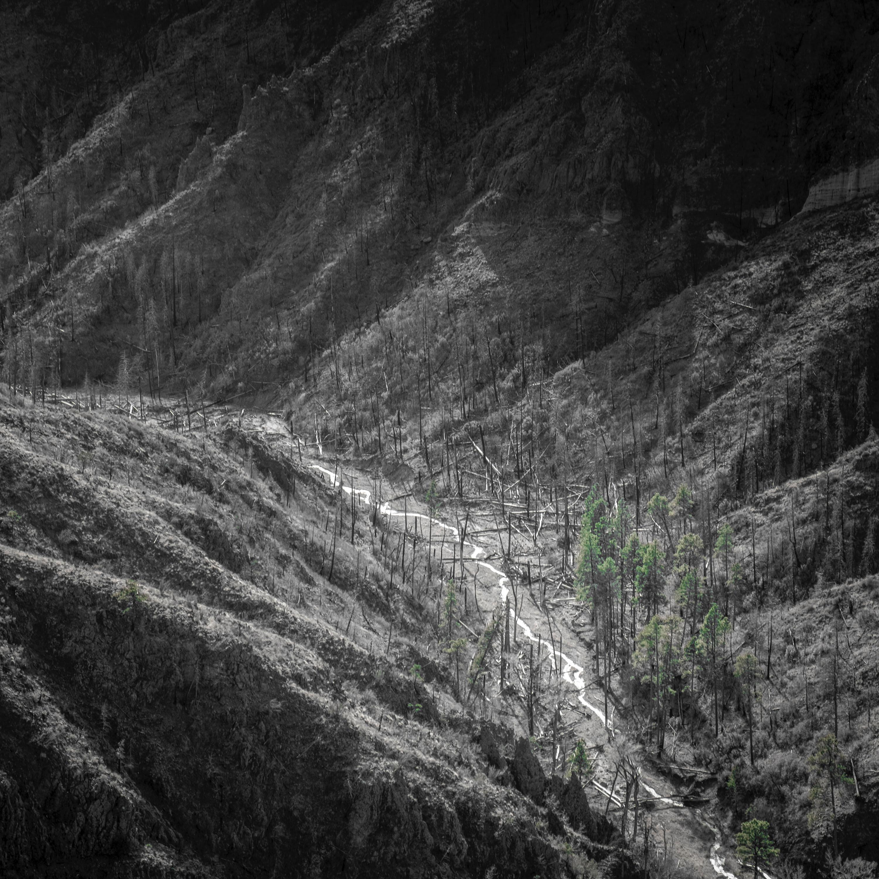Landscape Photograph Patricia Galagan - Le Canyon de Cochiti 