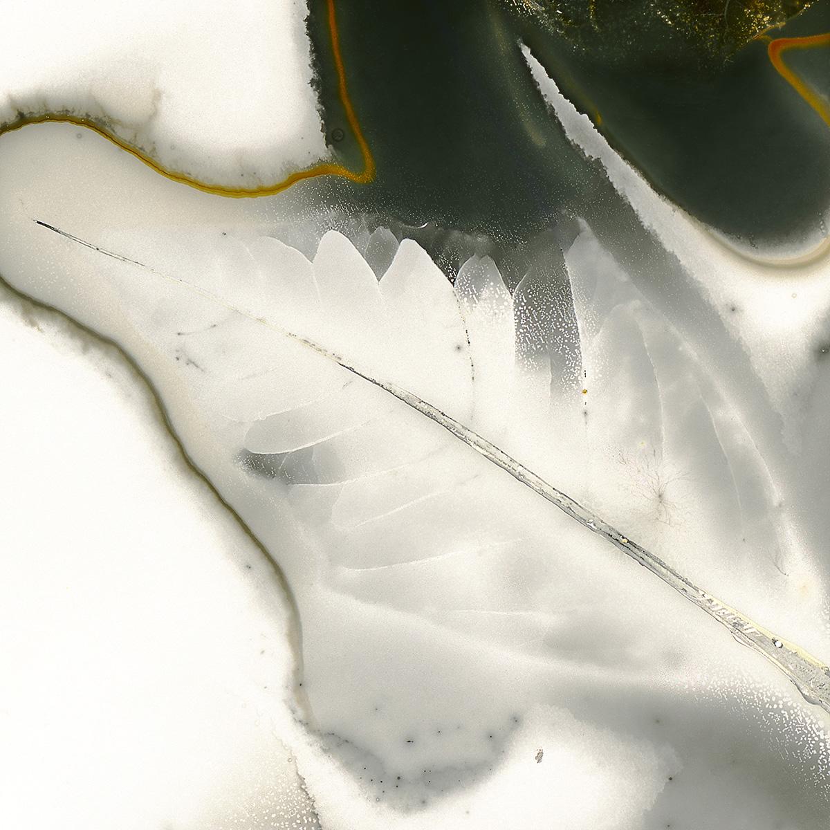 Abstract Photograph de Edward Bateman - Hoja nº 38C2