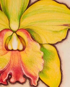 Vintage Green Orchid, Lowell Nesbitt - Drawing
