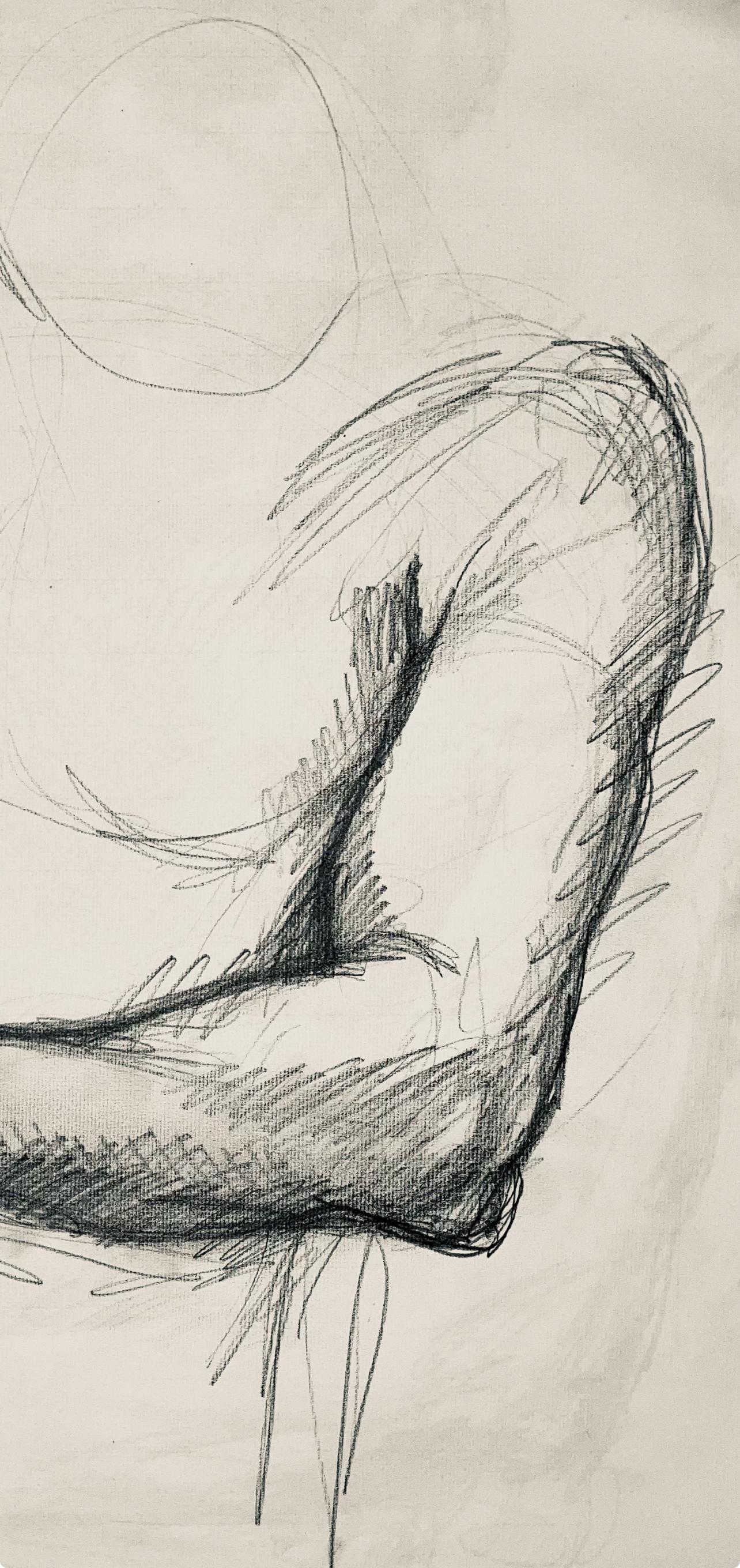 Renaissance Male Nude Figure Study, 1963, Ian Hornak — Drawing For Sale 1