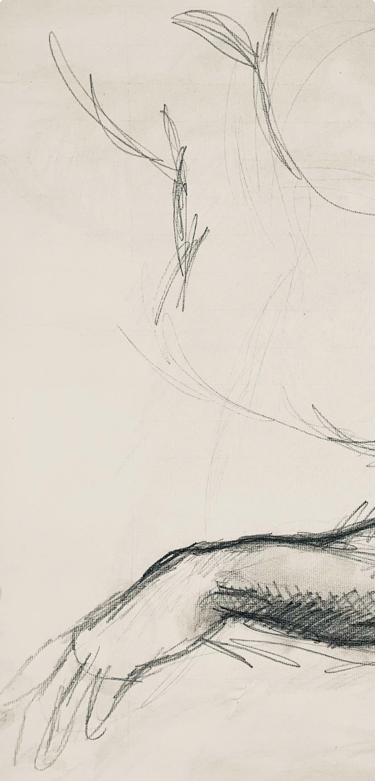 Renaissance Male Nude Figure Study, 1963, Ian Hornak — Drawing For Sale 2