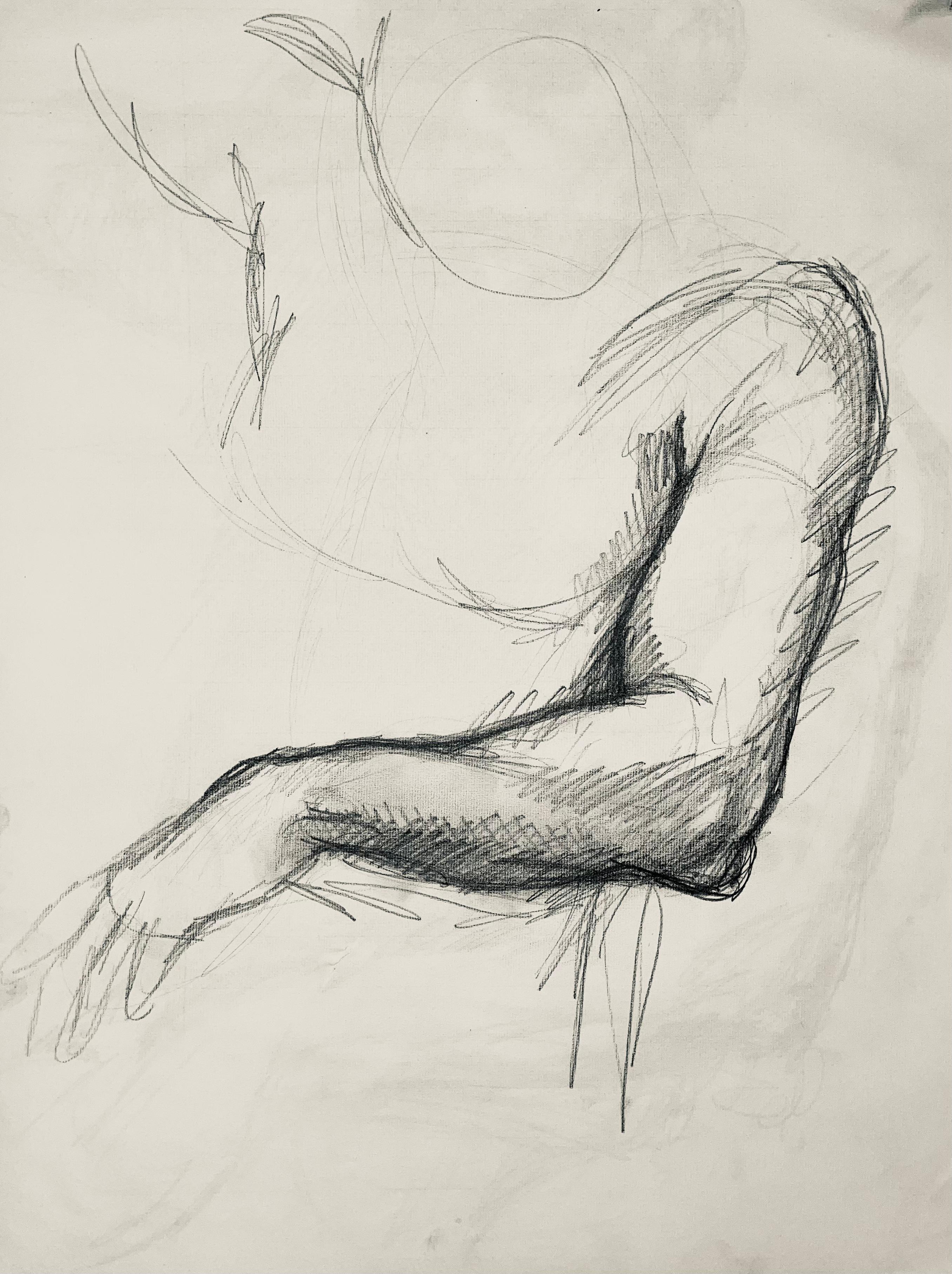 Renaissance Male Nude Figure Study, 1963, Ian Hornak — Drawing For Sale 4