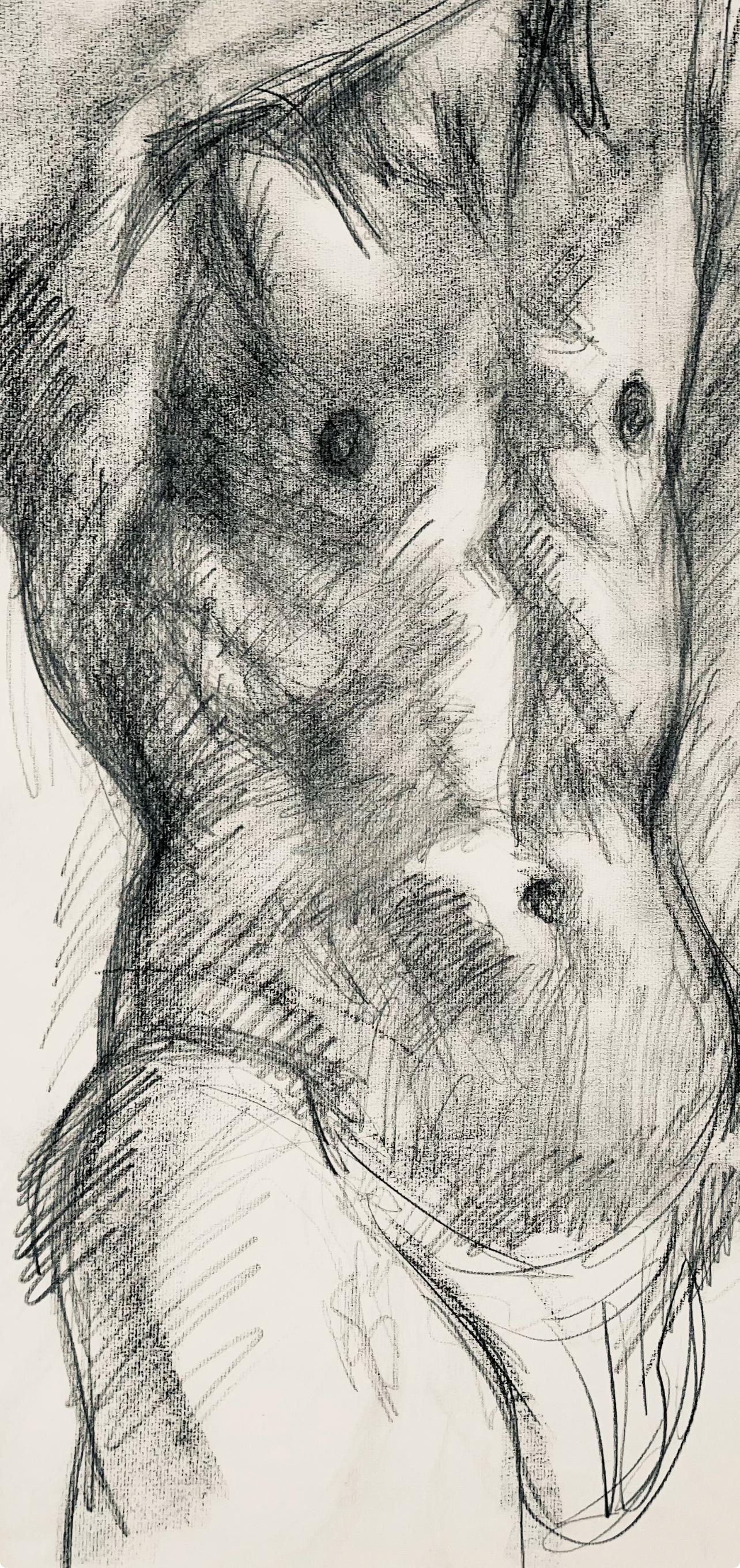 Renaissance Male Nude Figure Study, 1963, Ian Hornak — Drawing For Sale 1