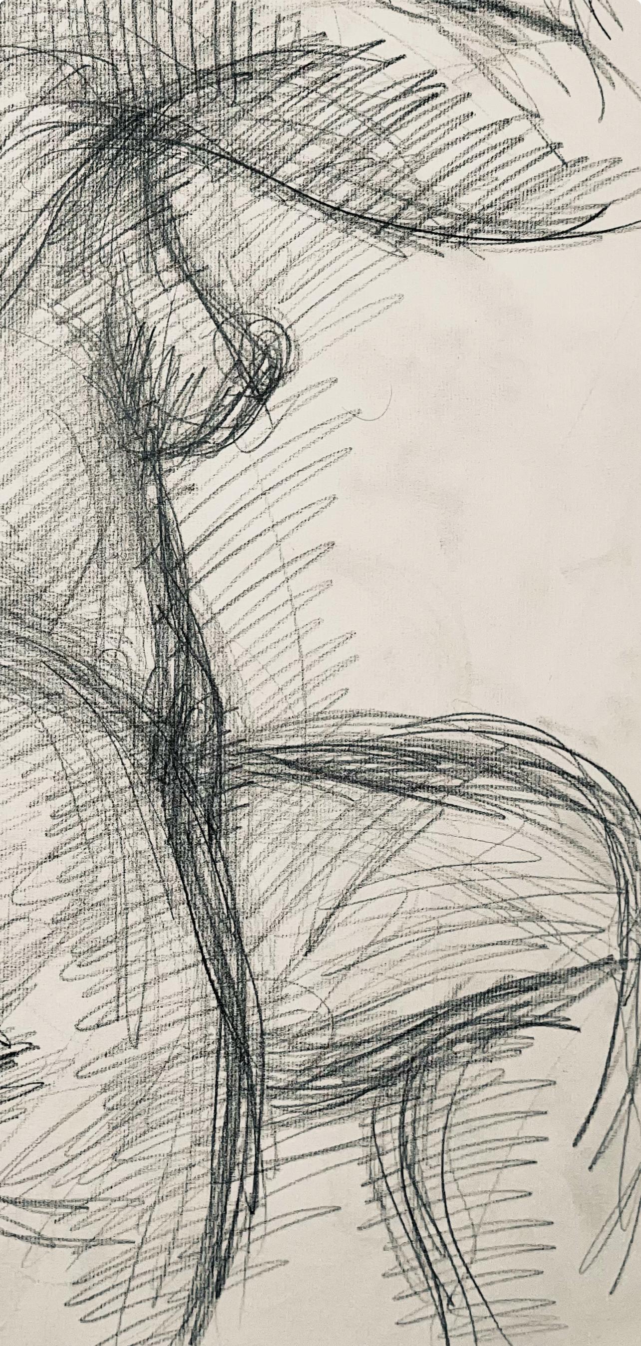 Renaissance Female Nude Figure Study, 1963, Ian Hornak — Drawing For Sale 3