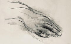 Studio di mano rinascimentale, 1963, Ian Hornak - Disegno