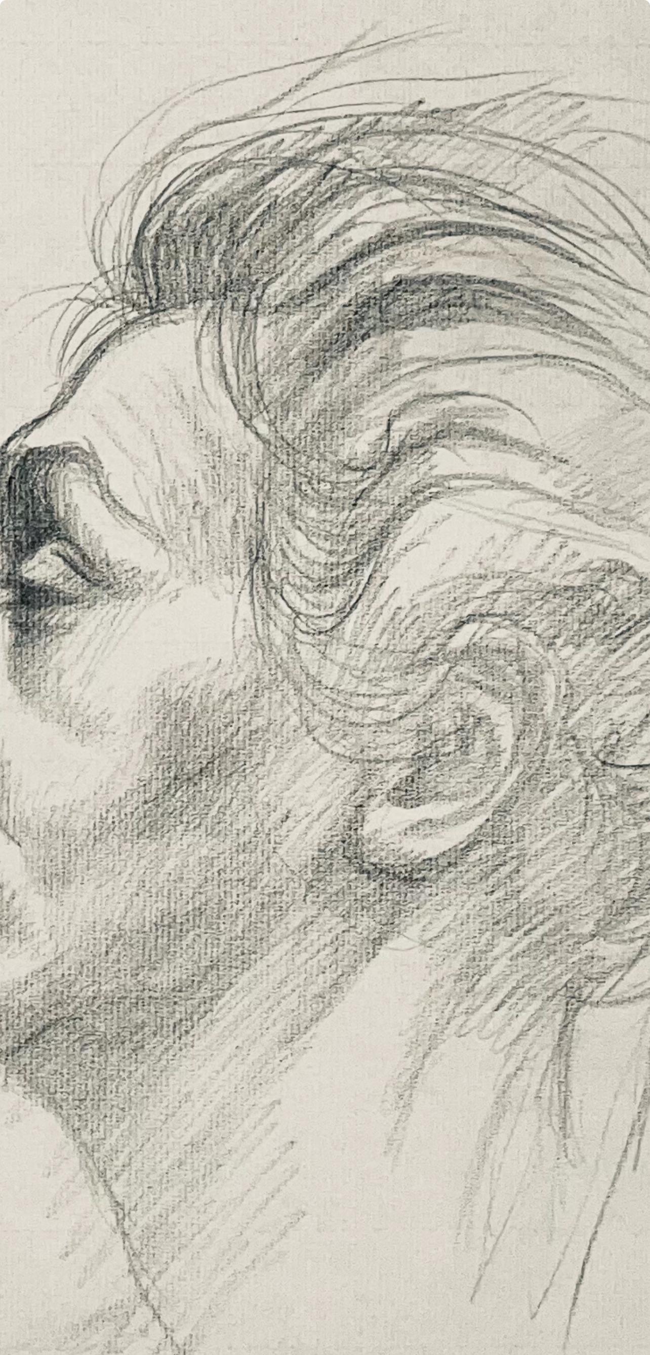 Studio di figura maschile rinascimentale, 1963, Ian Hornak - Disegno in vendita 2
