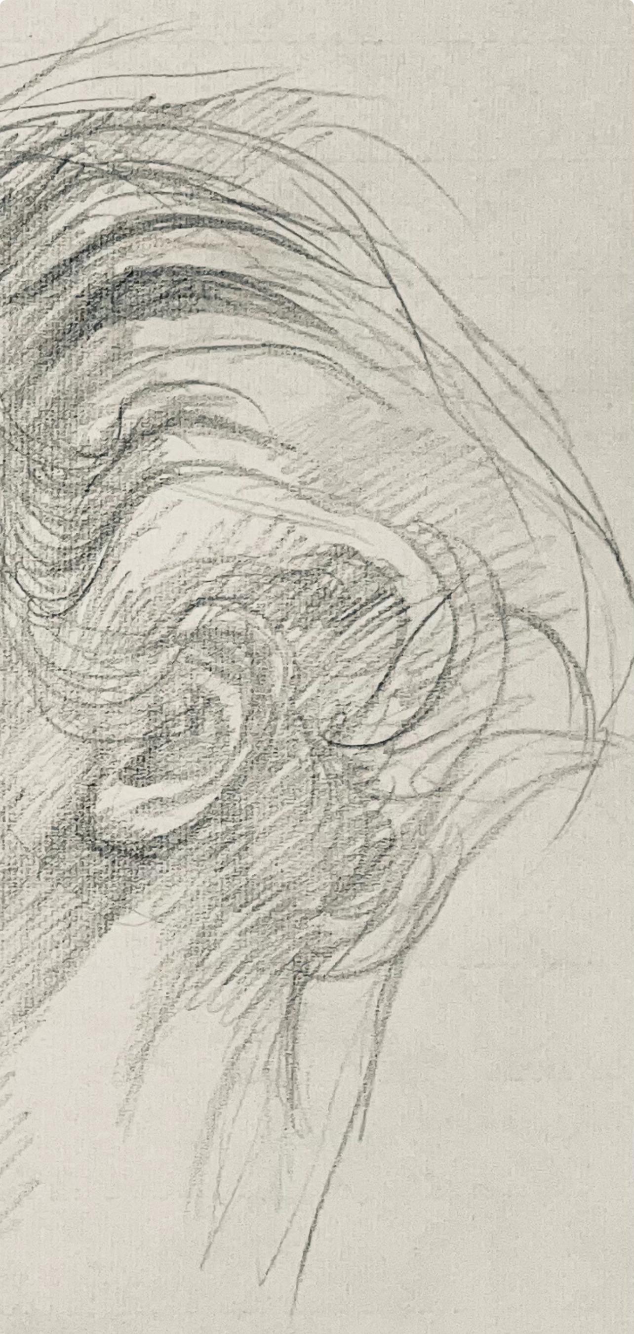 Studio di figura maschile rinascimentale, 1963, Ian Hornak - Disegno in vendita 3
