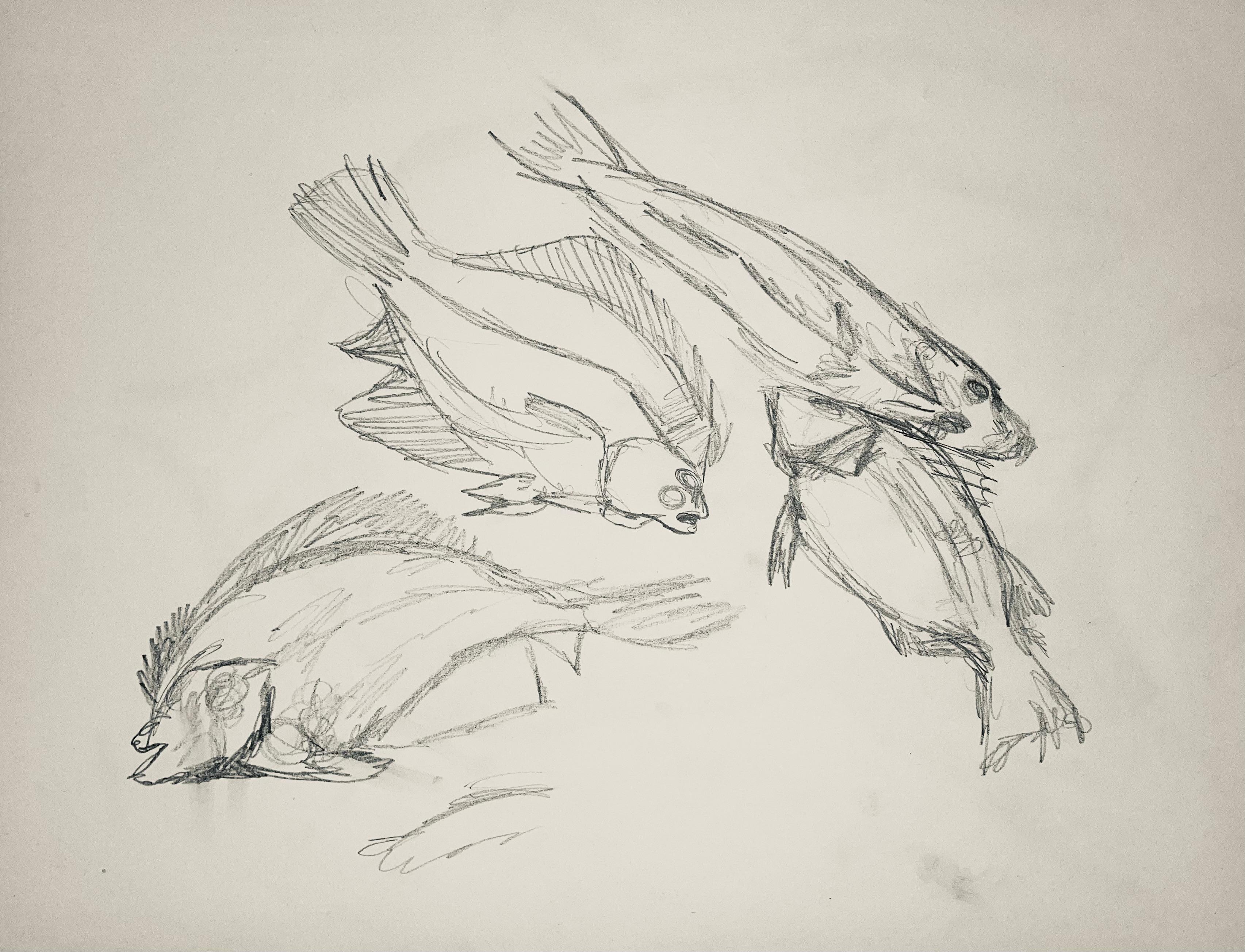 Studio di pesce rinascimentale, 1963, Ian Hornak - Disegno in vendita 3