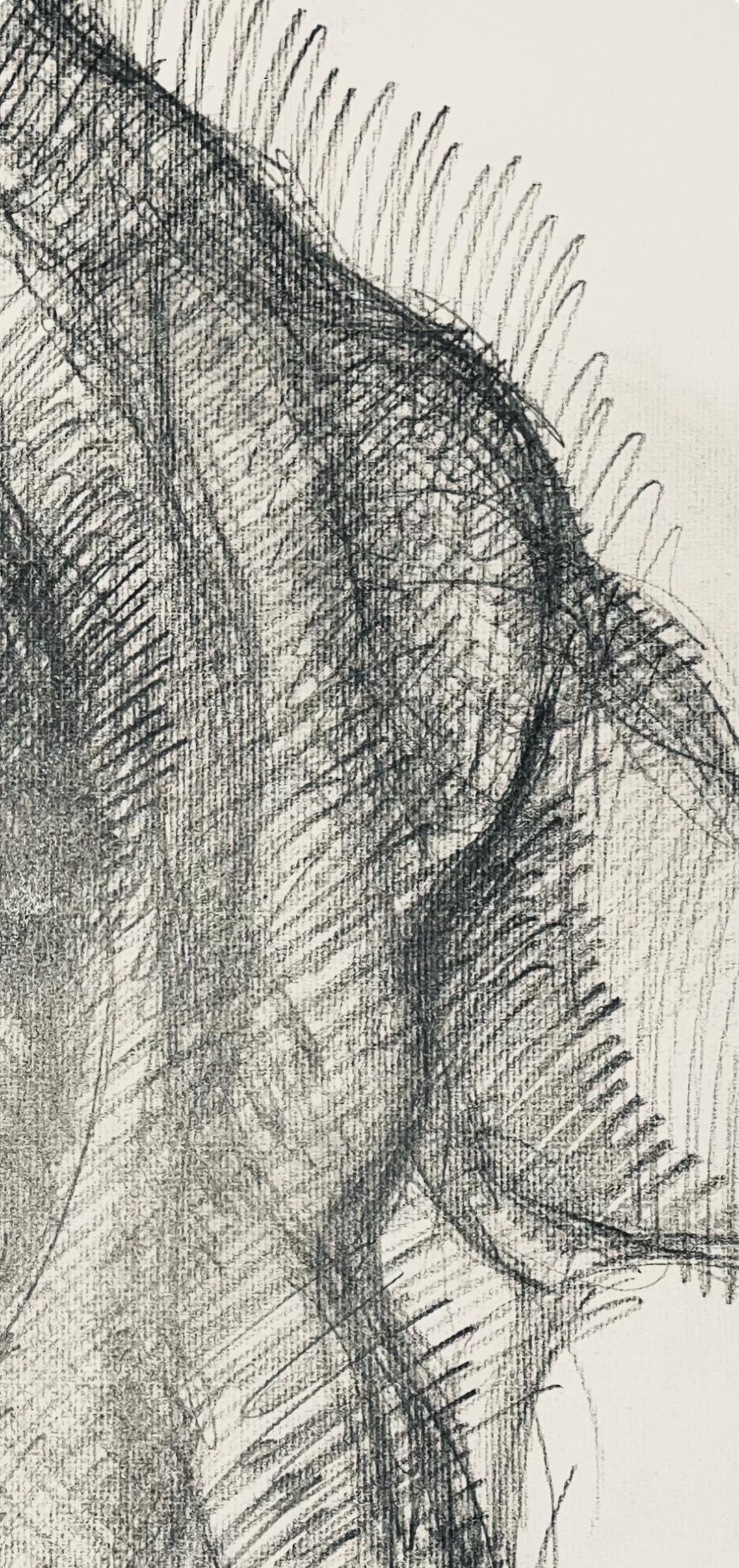 Studio di figura femminile rinascimentale, 1963, Ian Hornak - Disegno in vendita 3