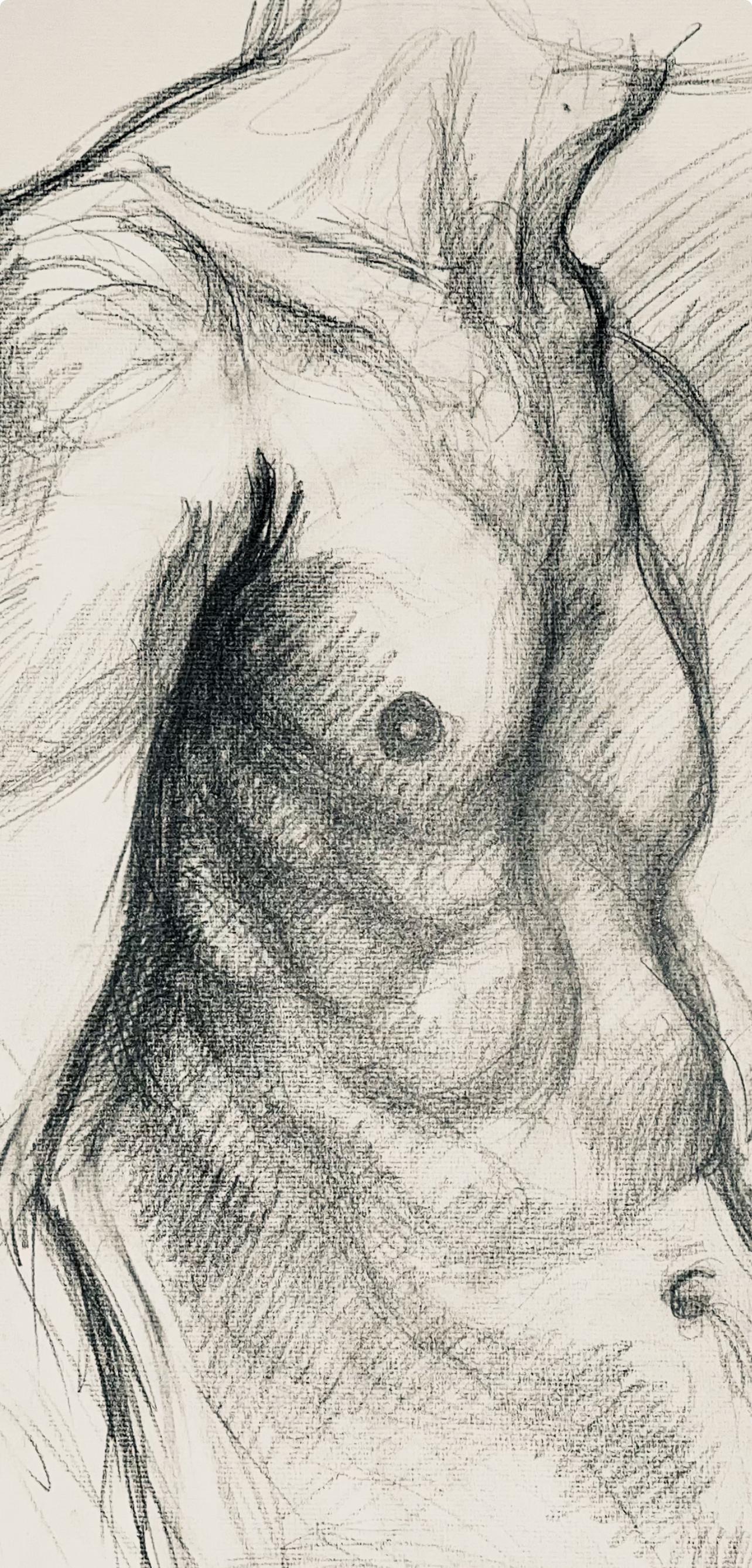 Renaissance Male Nude Figure Study, 1963, Ian Hornak — Drawing For Sale 1