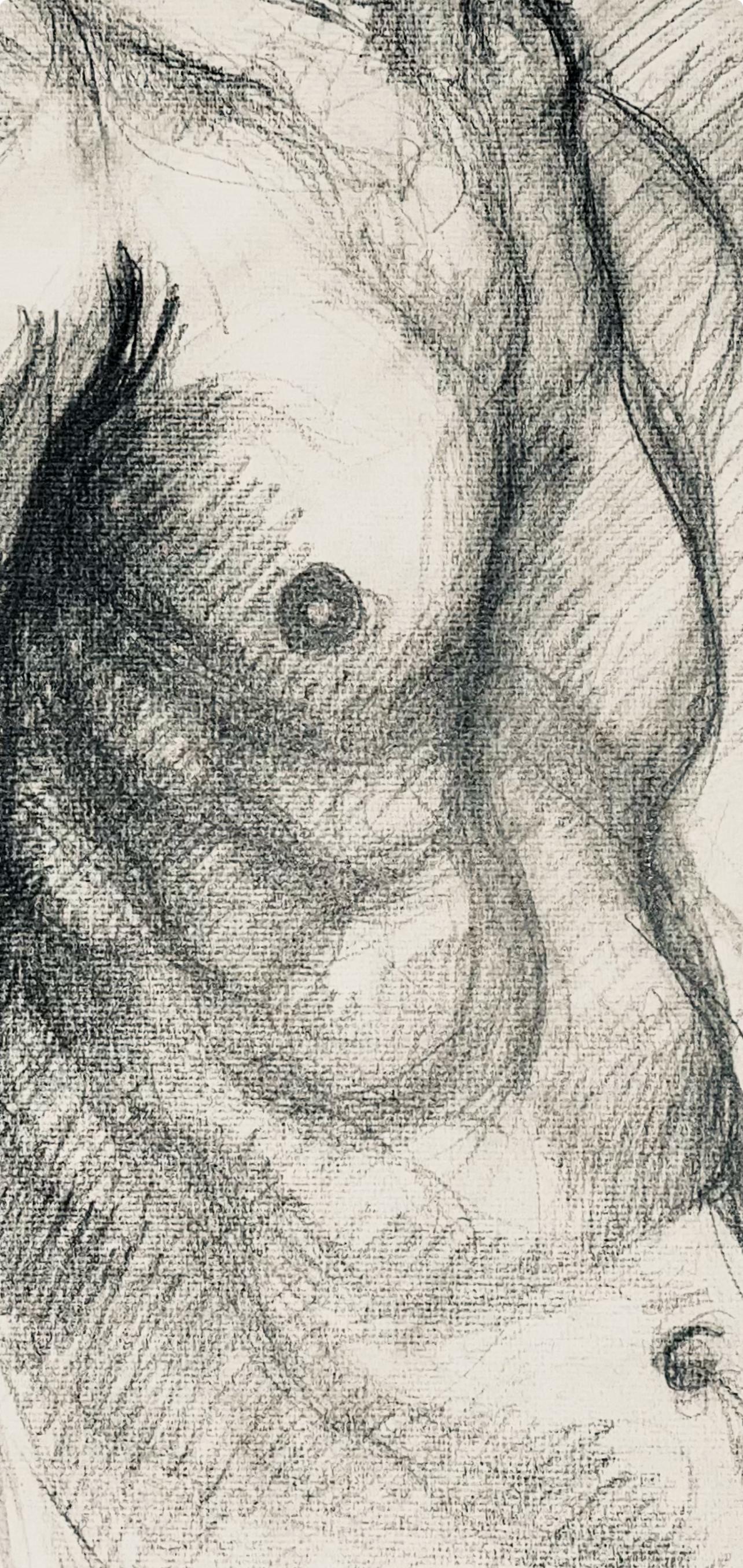 Renaissance Male Nude Figure Study, 1963, Ian Hornak — Drawing For Sale 3