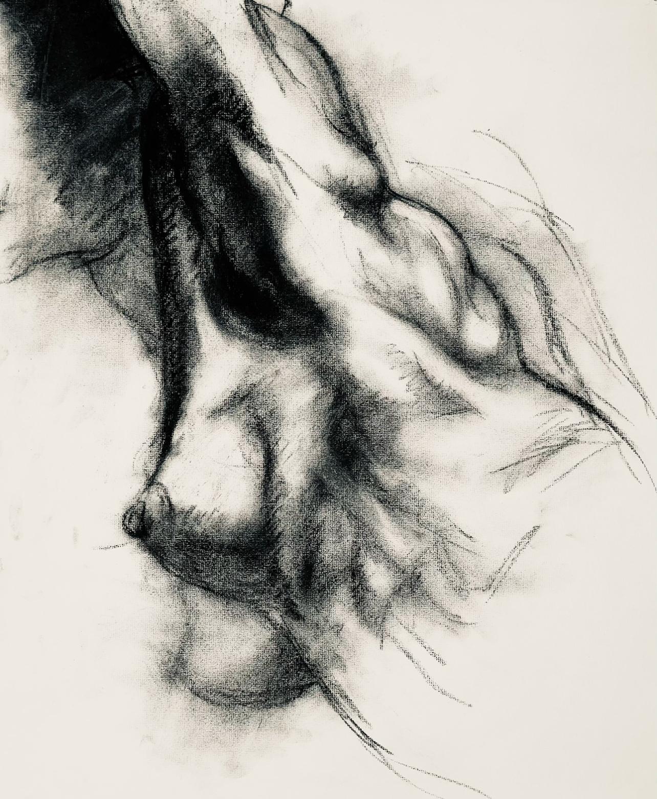 Artista: Ian Hornak (1944-2002)
Título: Estudio de figura desnuda femenina renacentista
Año: hacia 1963
Soporte: Dibujo original sobre papel vélin
Tamaño: 23 x 18 pulgadas
Estado: Bueno
Procedencia: Patrimonio de Ian Hornak, East Hampton, NY
Notas:
