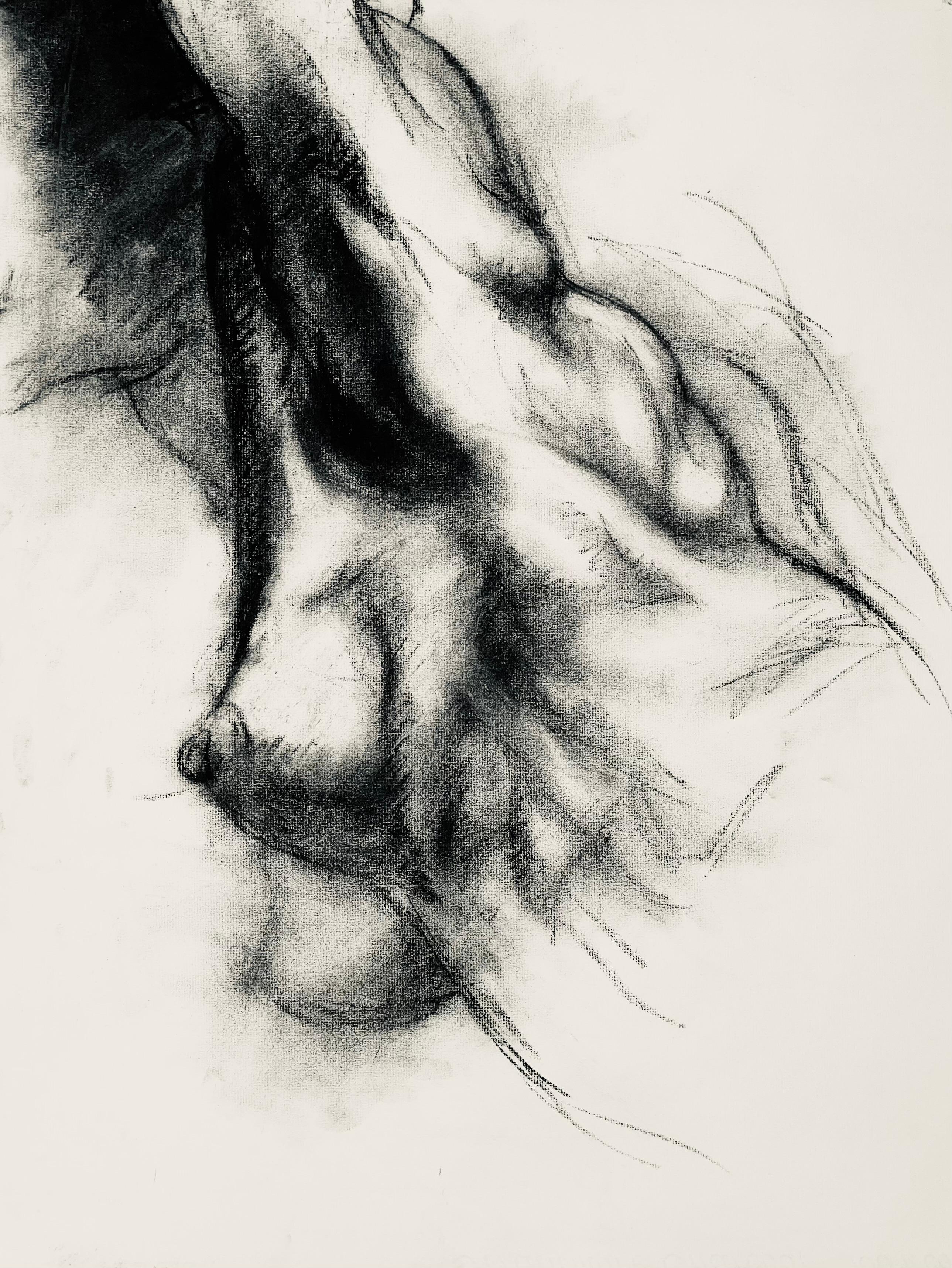 Estudio de figura desnuda femenina renacentista, 1963, Ian Hornak - Dibujo en venta 4