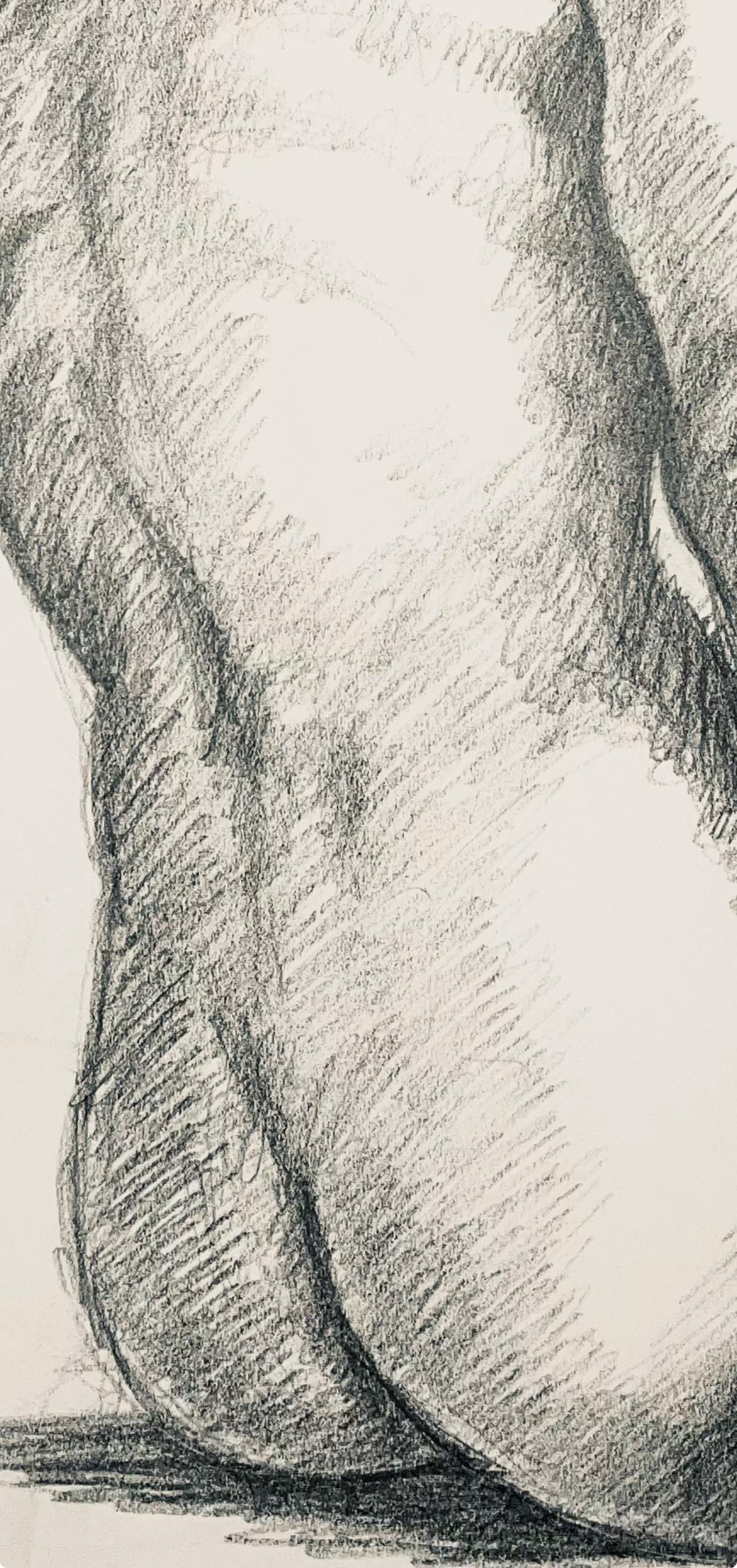 Studio di figura femminile rinascimentale, 1963, Ian Hornak - Disegno in vendita 4