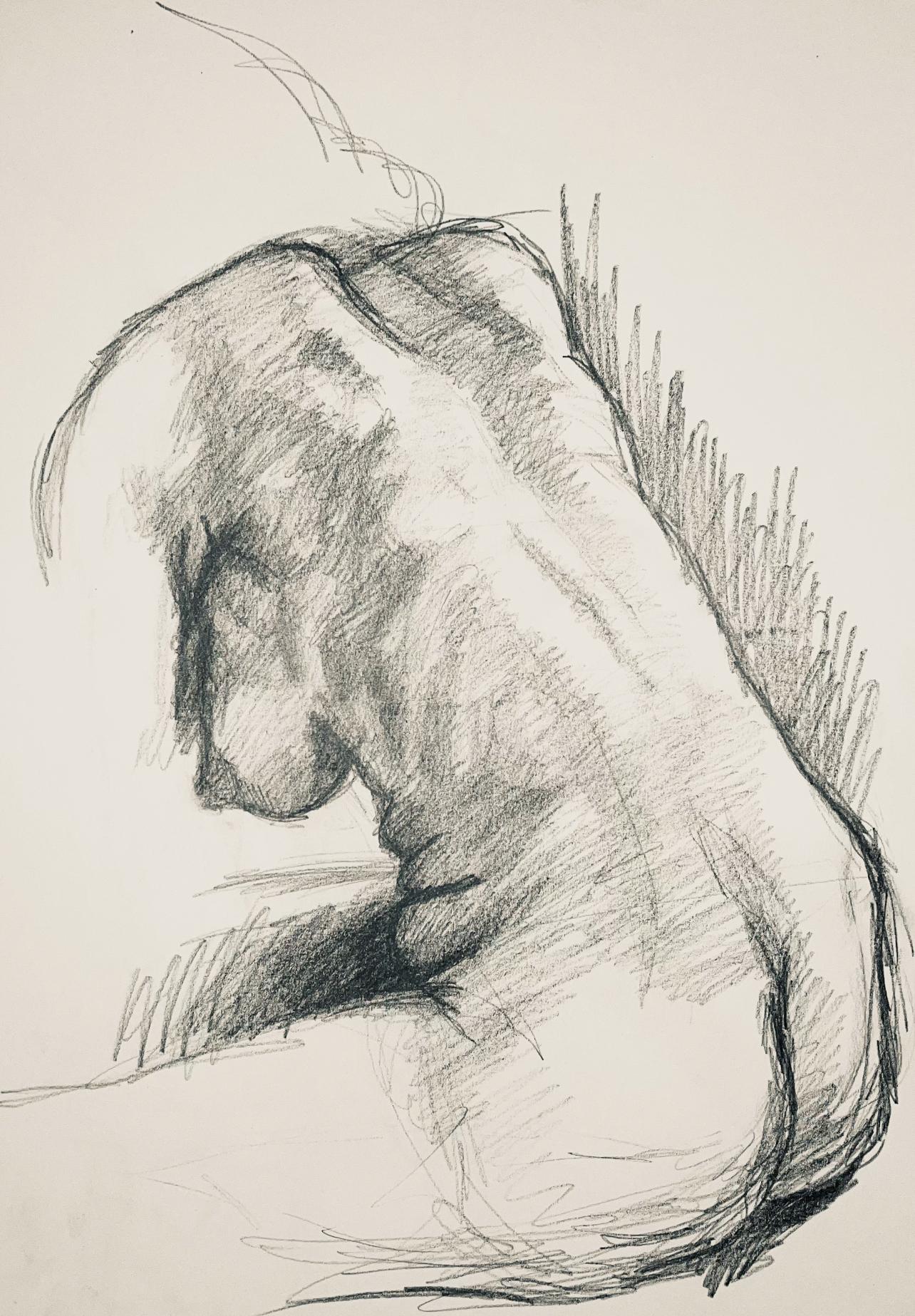Artista: Ian Hornak (1944-2002)
Título: Estudio de figura desnuda femenina renacentista
Año: hacia 1963
Soporte: Dibujo original sobre papel vélin
Tamaño: 23 x 18 pulgadas
Estado: Bueno
Procedencia: Patrimonio de Ian Hornak, East Hampton, NY
Notas: