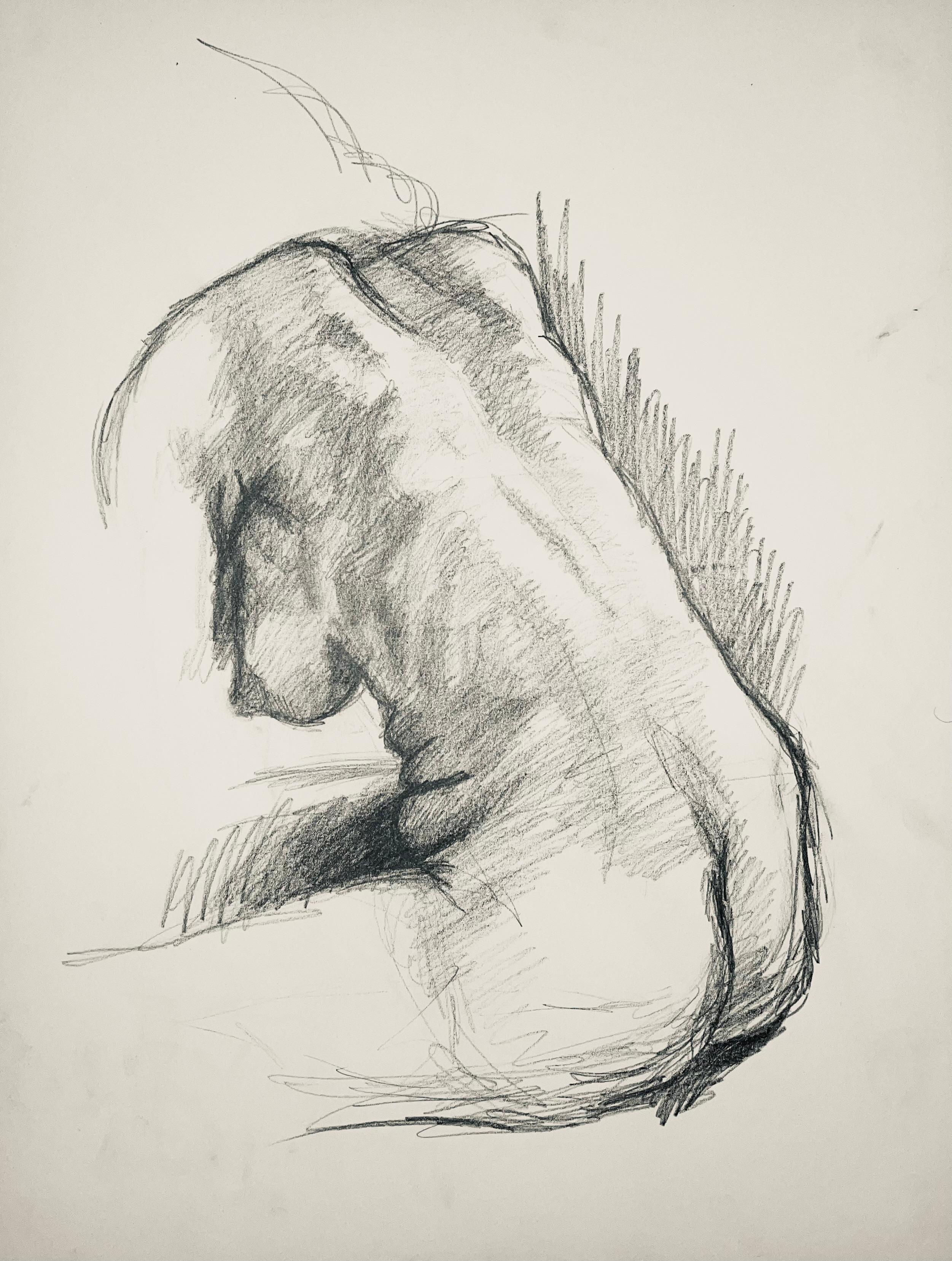 Estudio de figura desnuda femenina renacentista, 1963, Ian Hornak - Dibujo en venta 5