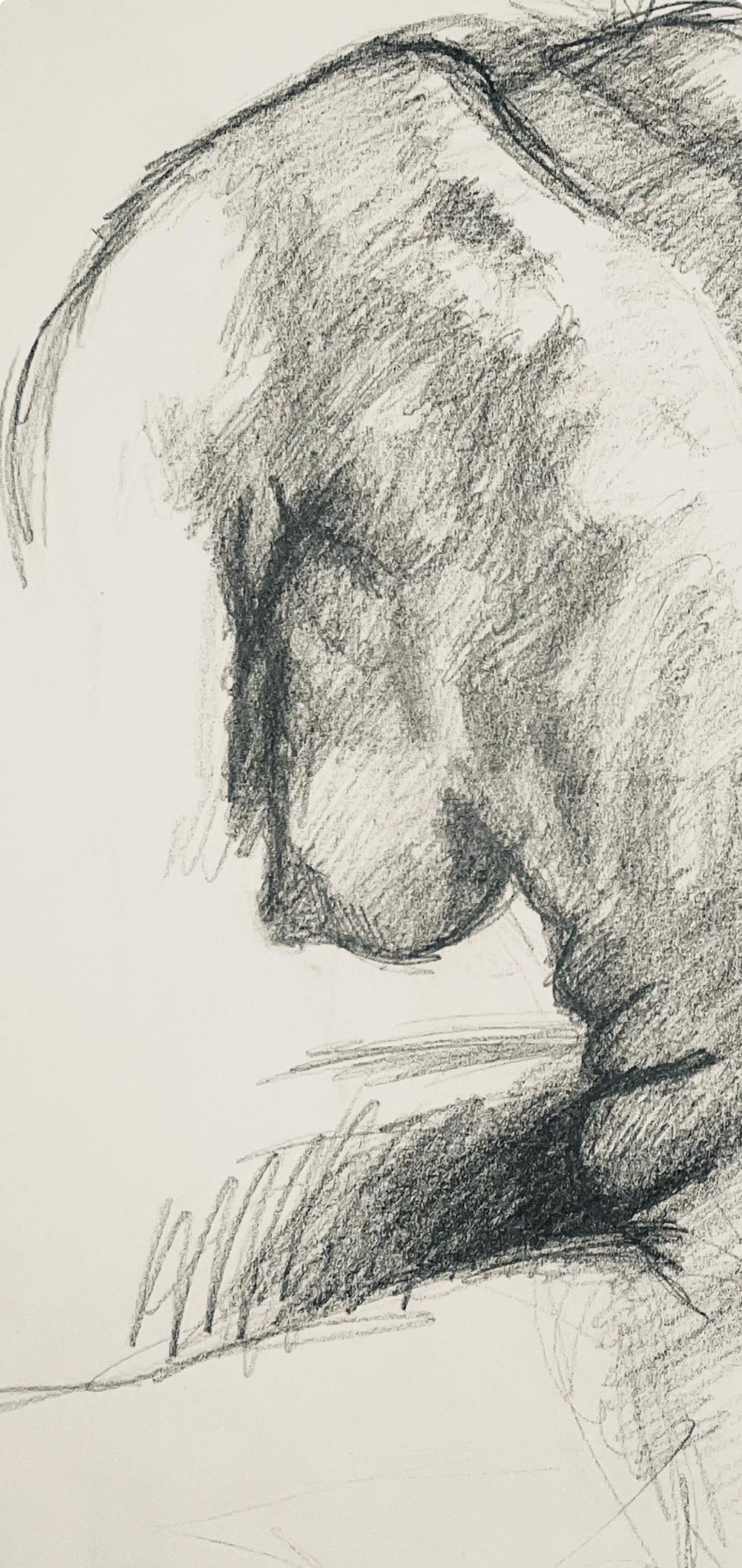Estudio de figura desnuda femenina renacentista, 1963, Ian Hornak - Dibujo en venta 1