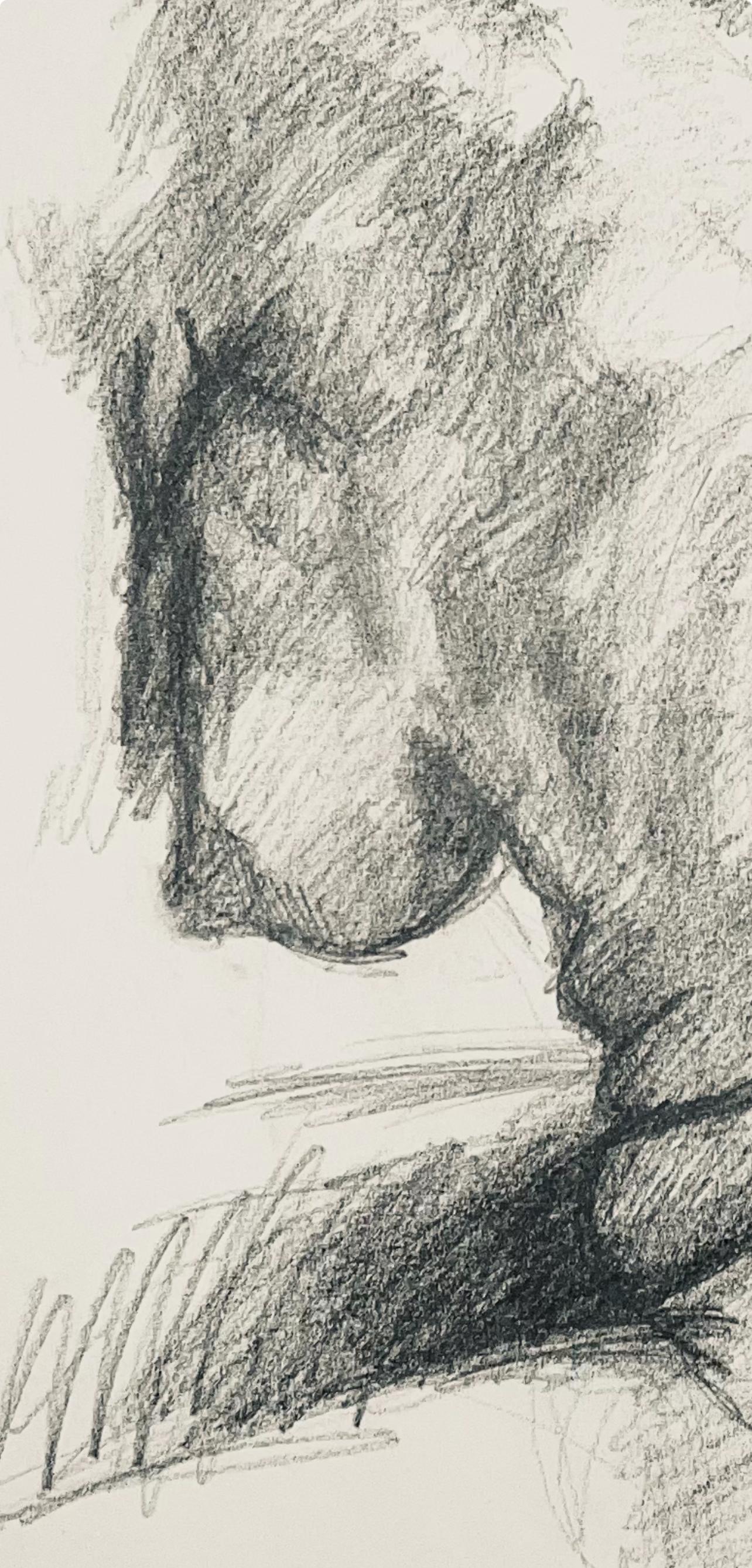Estudio de figura desnuda femenina renacentista, 1963, Ian Hornak - Dibujo en venta 2