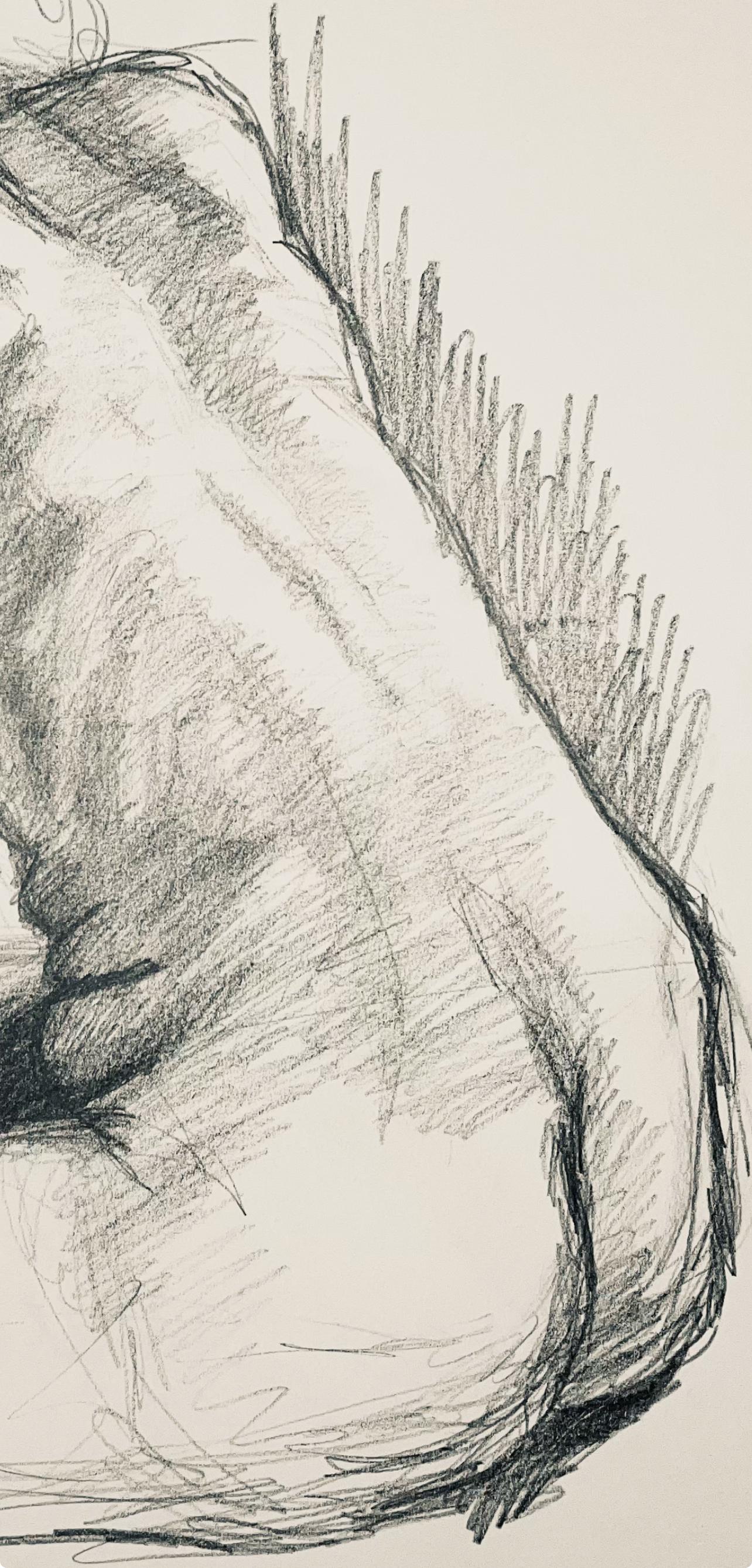 Estudio de figura desnuda femenina renacentista, 1963, Ian Hornak - Dibujo en venta 3