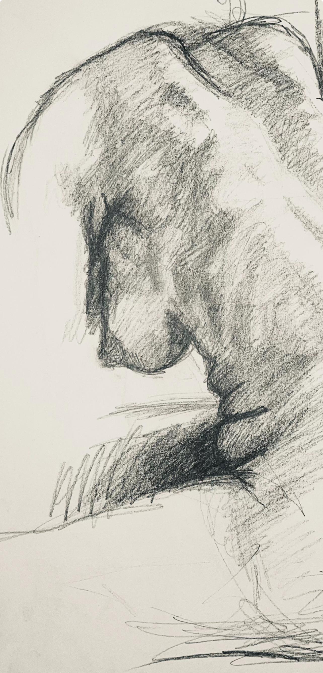 Estudio de figura desnuda femenina renacentista, 1963, Ian Hornak - Dibujo en venta 4