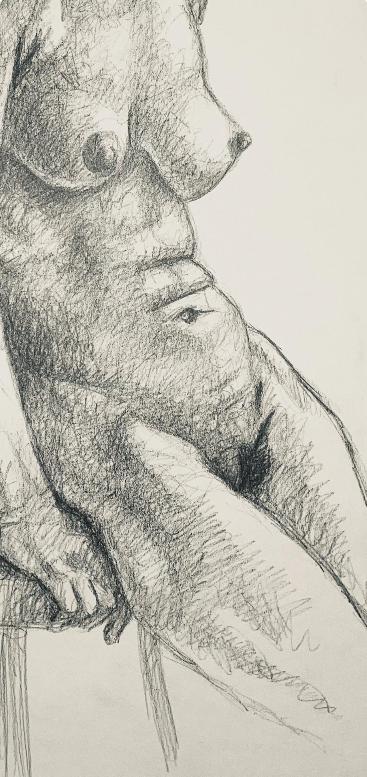 Estudio de figura desnuda femenina renacentista, 1963, Ian Hornak - Dibujo en venta 2